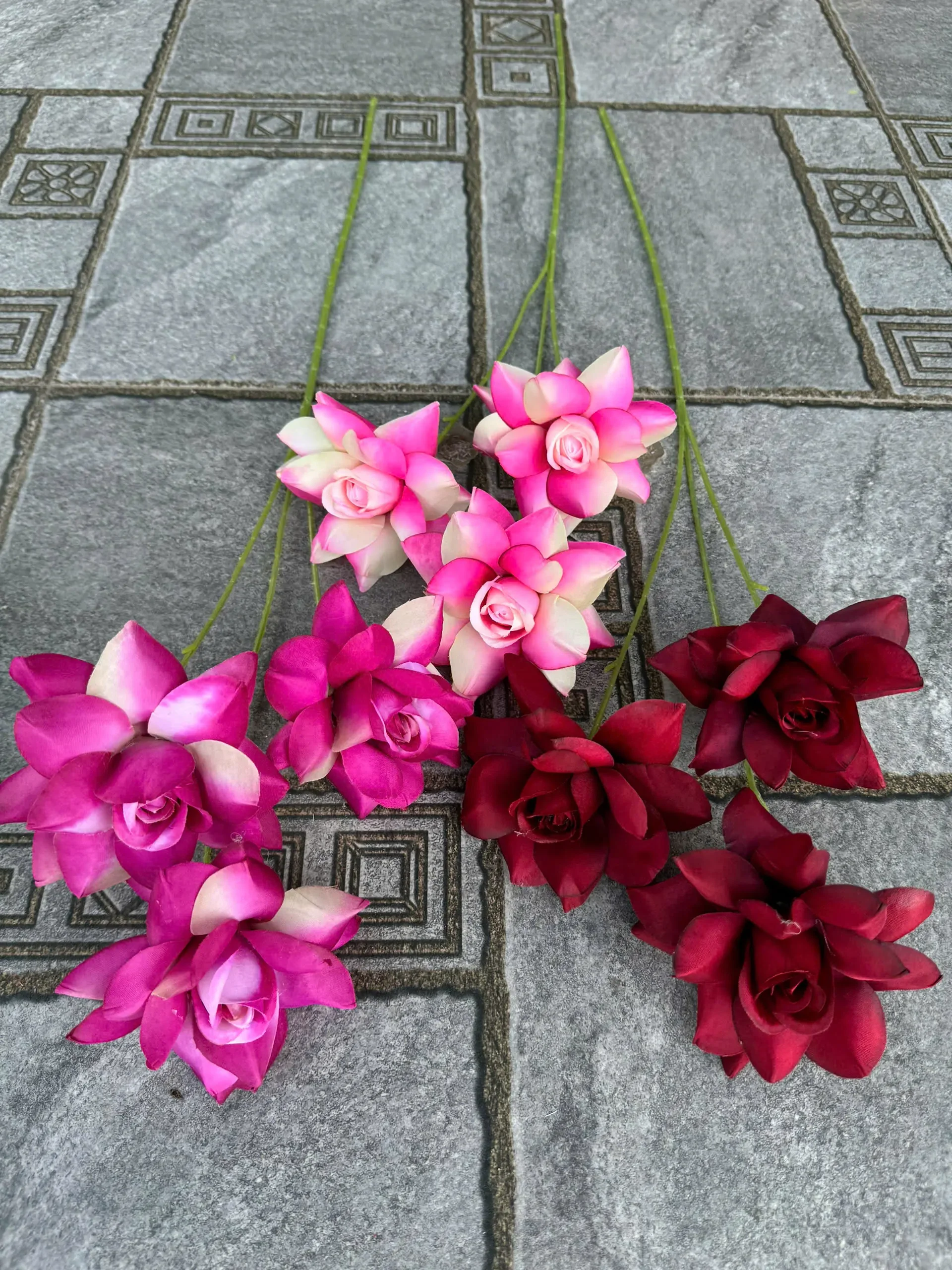 HỒNG BLOOM - Ảnh 3