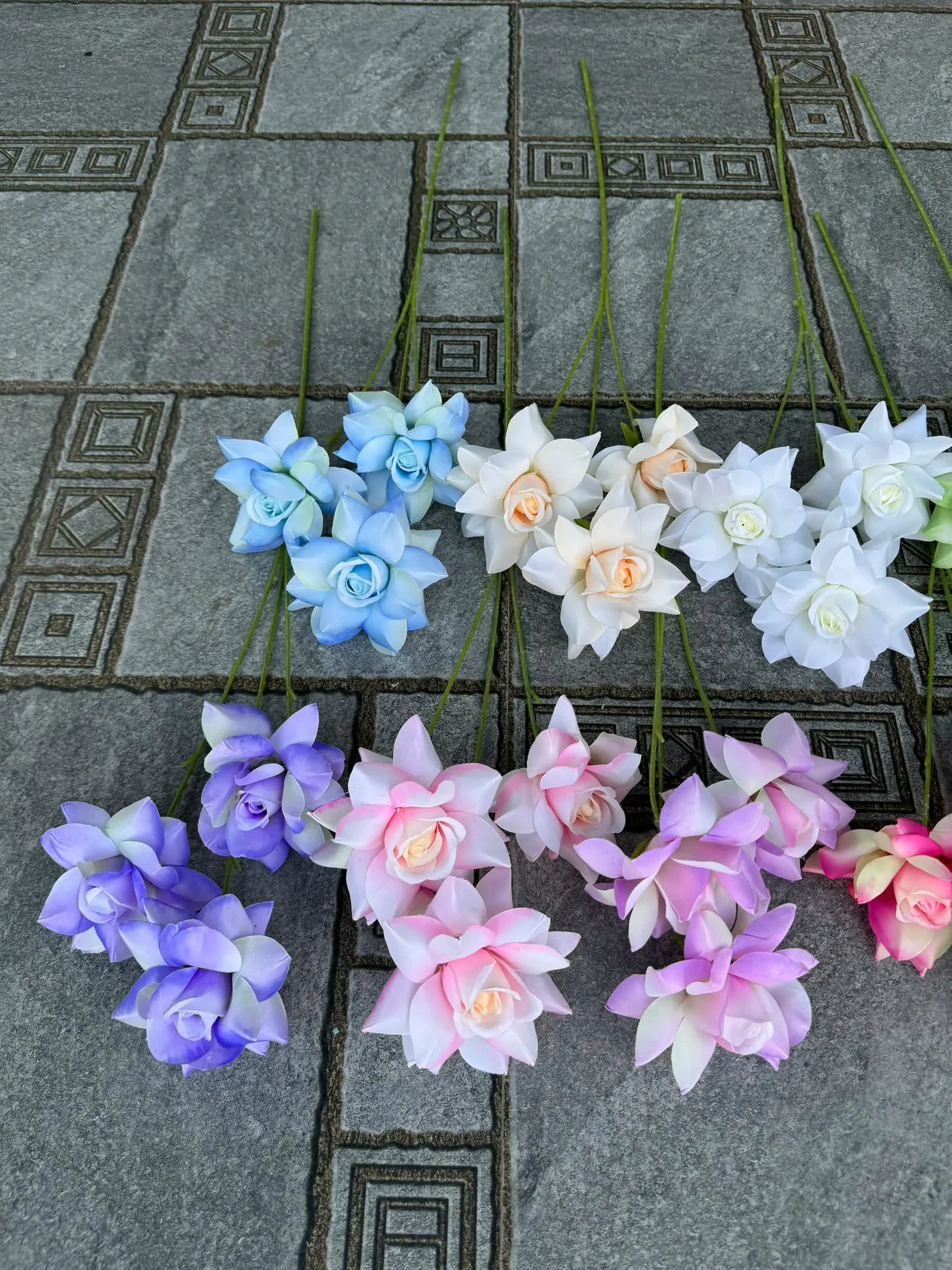 HỒNG BLOOM - Ảnh 5