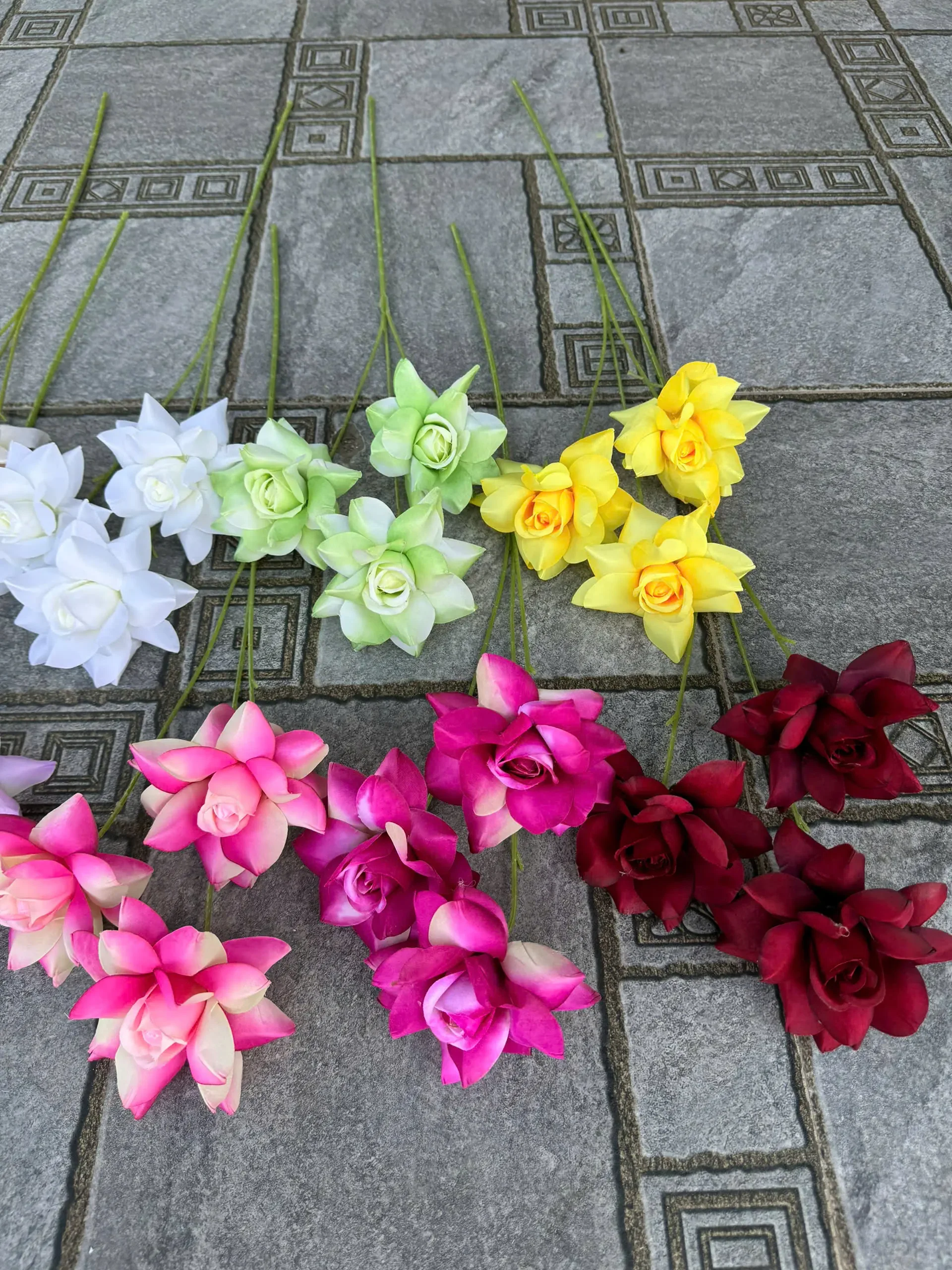 HỒNG BLOOM - Ảnh 9