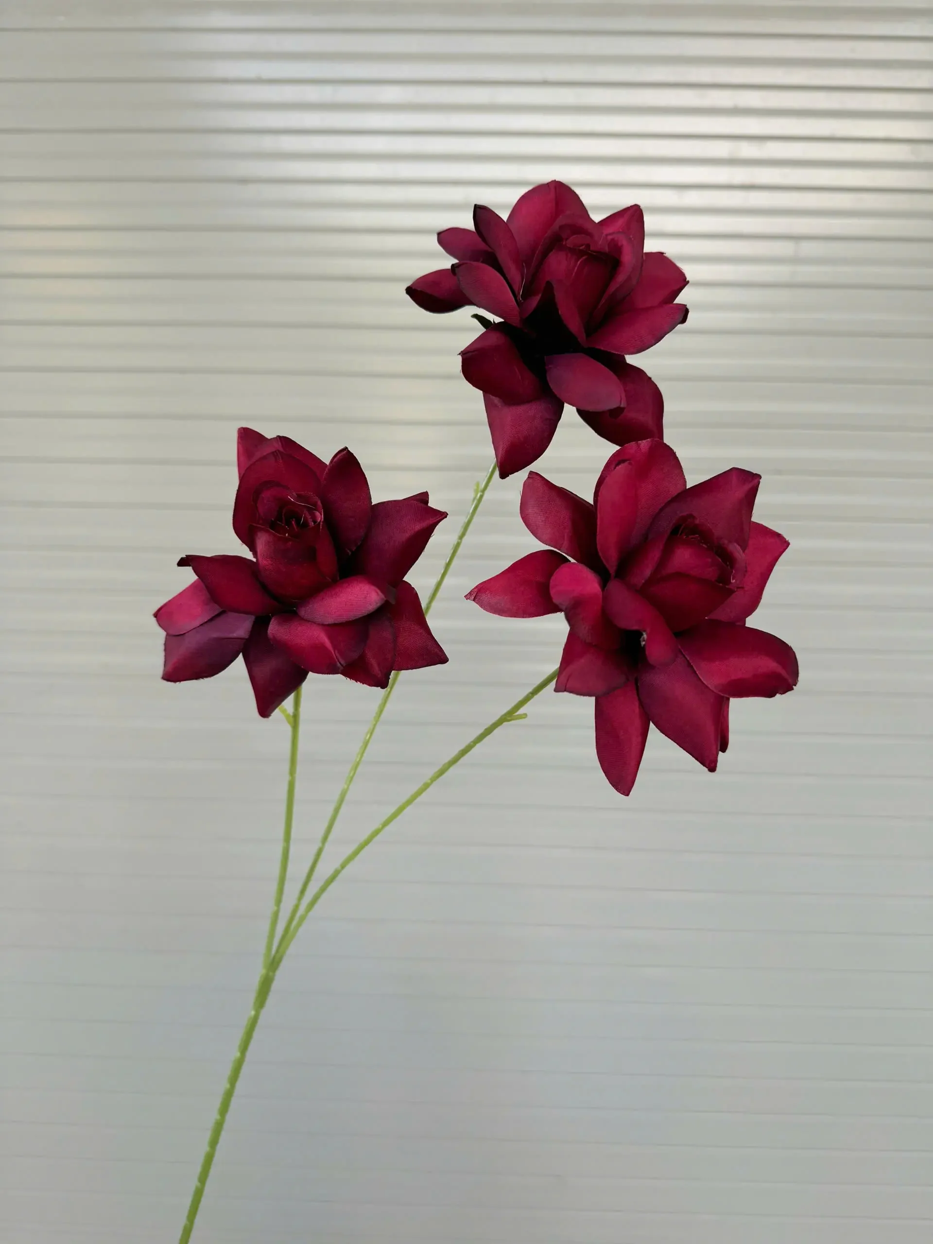 HỒNG BLOOM - Ảnh 20