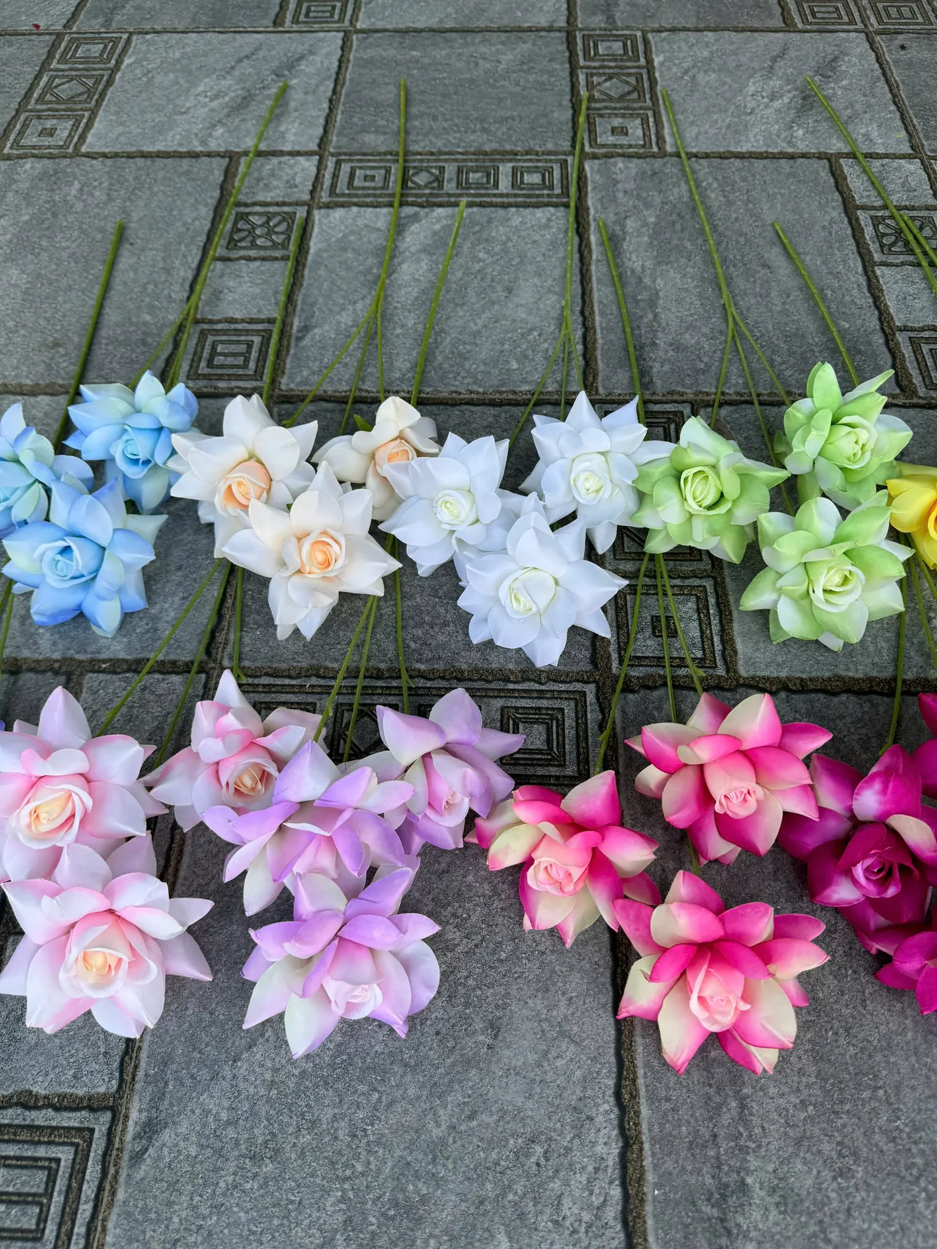 HỒNG BLOOM - Ảnh 15
