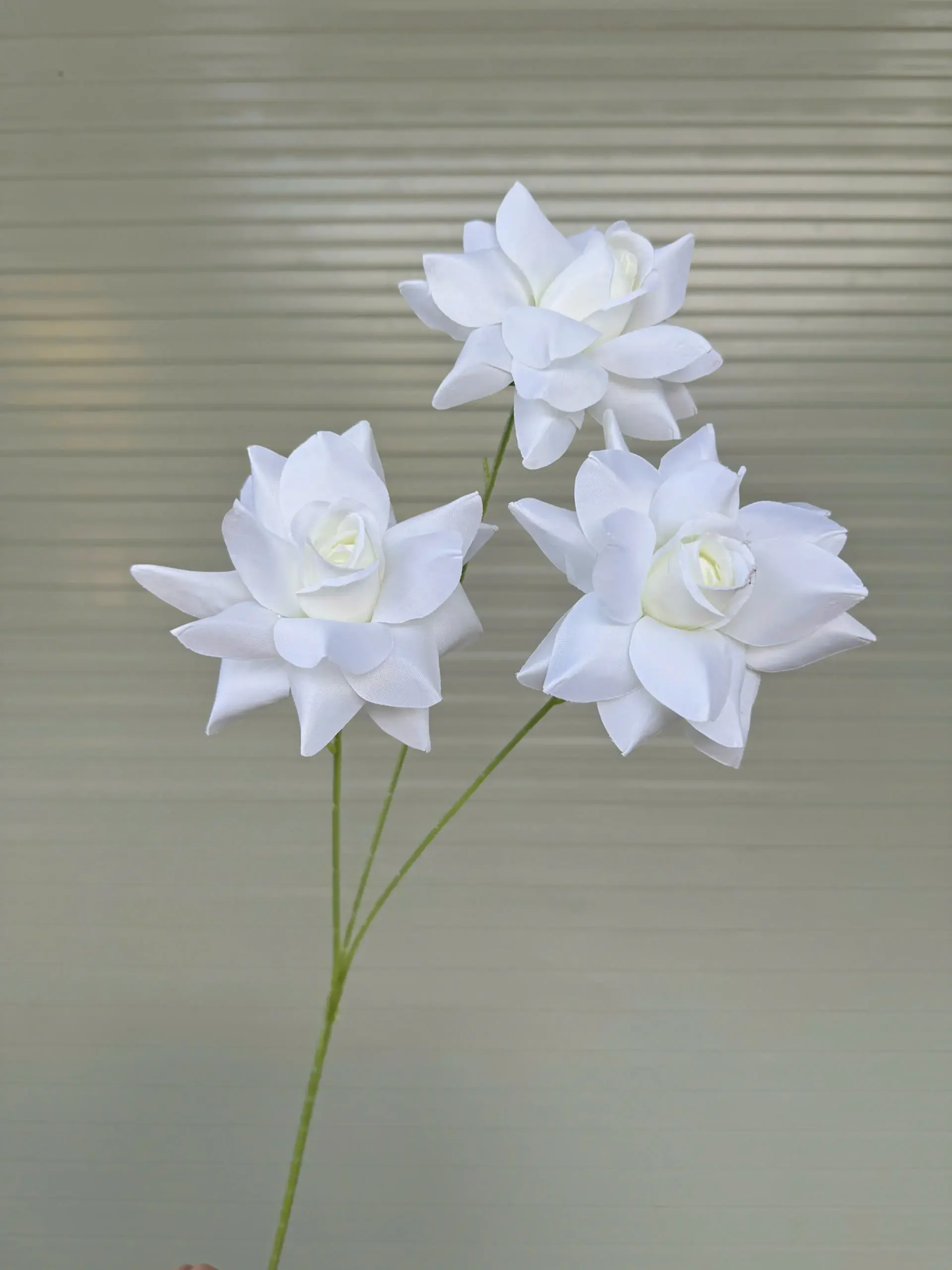 HỒNG BLOOM - Ảnh 21