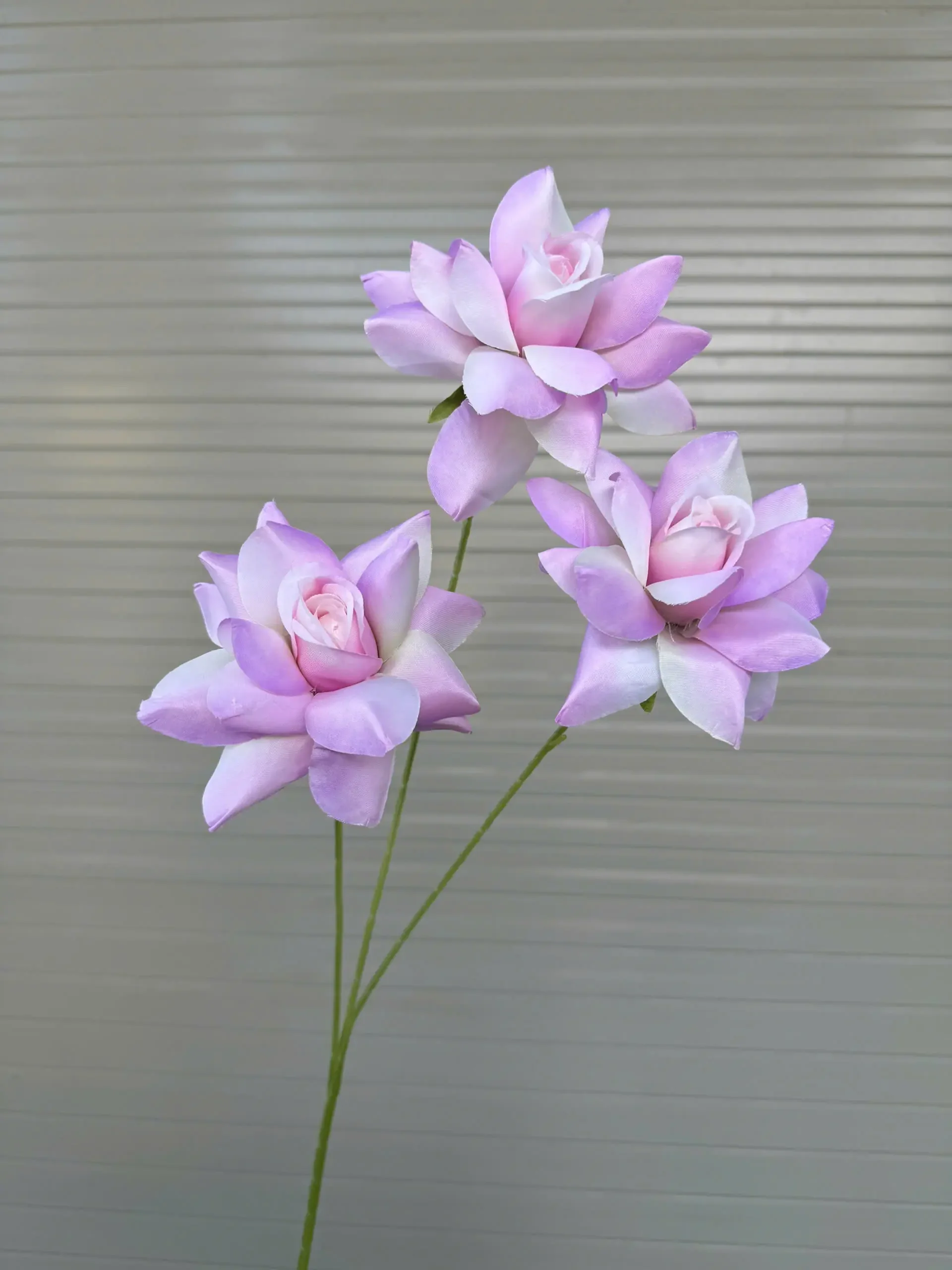 HỒNG BLOOM - Ảnh 16