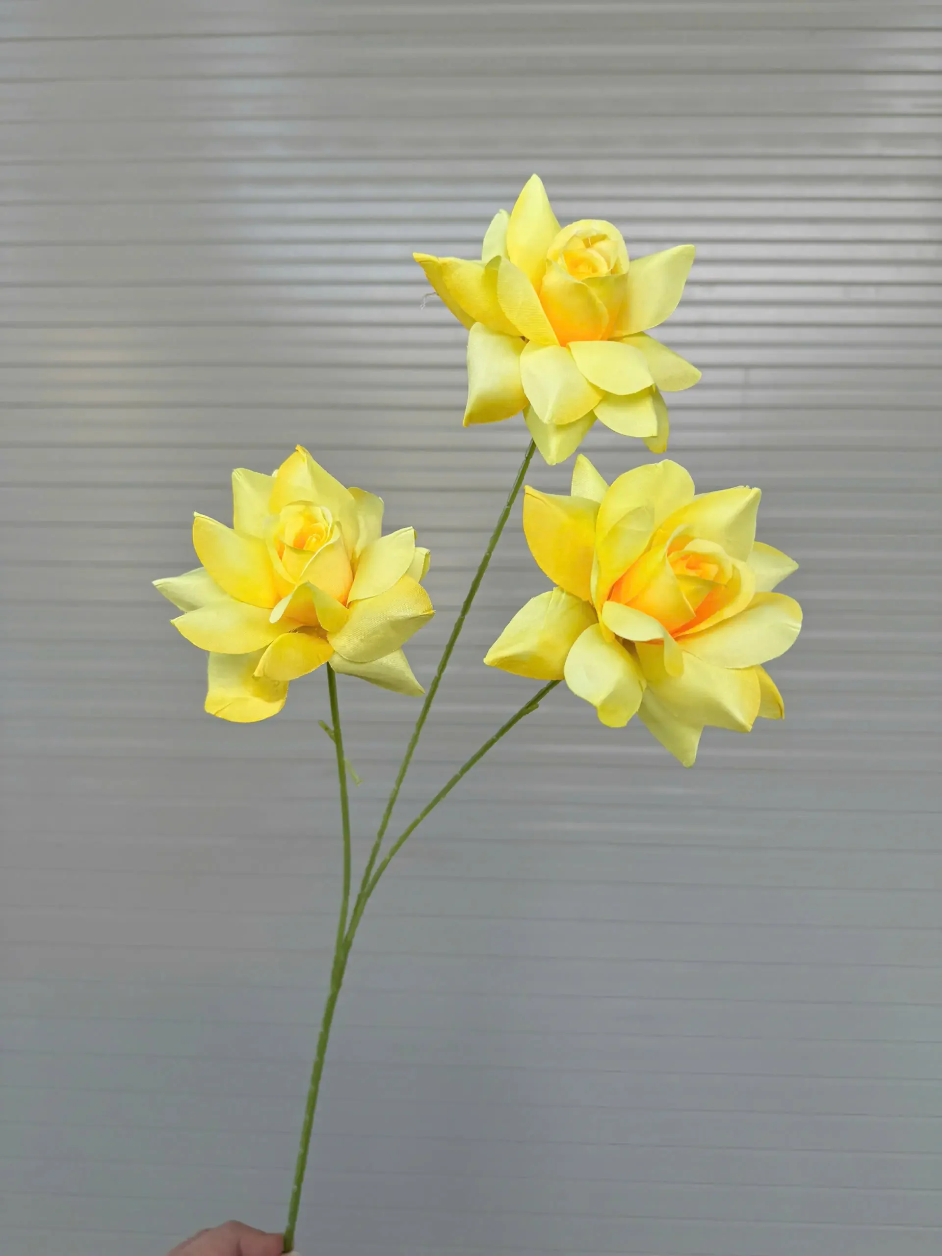 HỒNG BLOOM - Ảnh 14