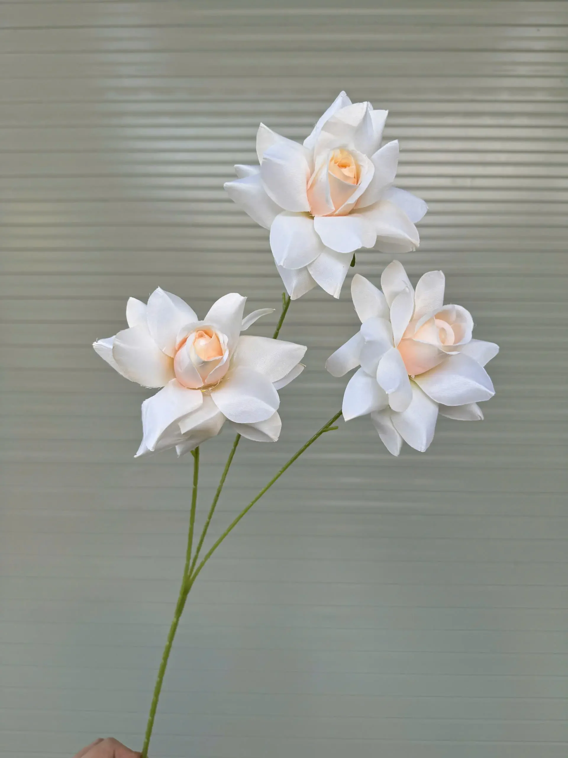 HỒNG BLOOM - Ảnh 10