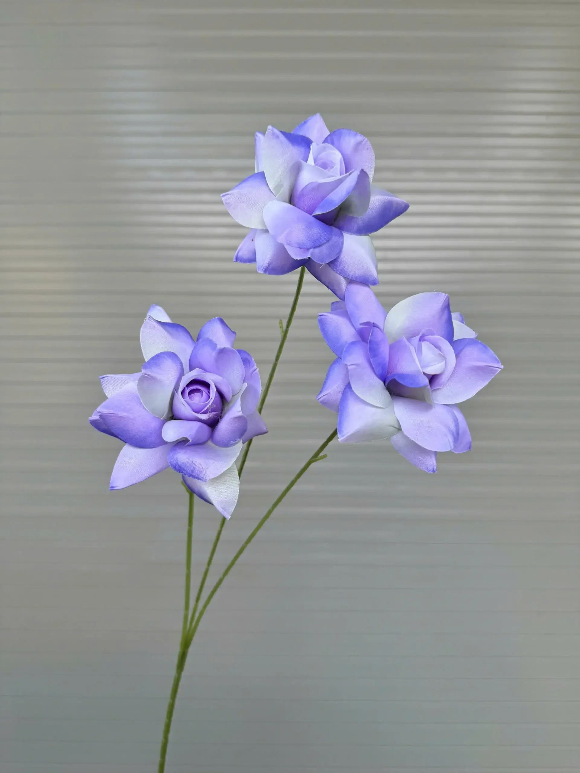 HỒNG BLOOM - Ảnh 18