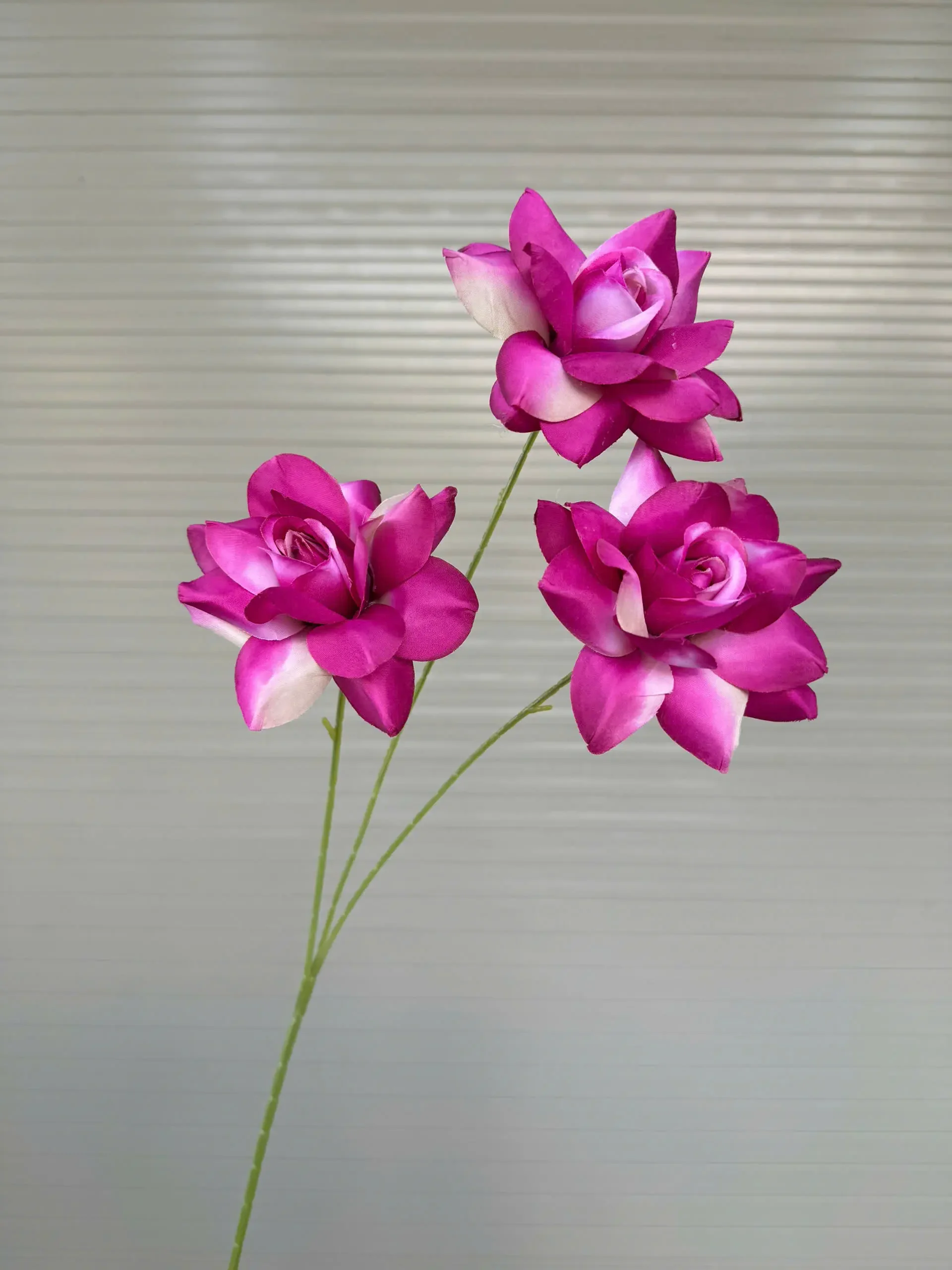 HỒNG BLOOM - Ảnh 4