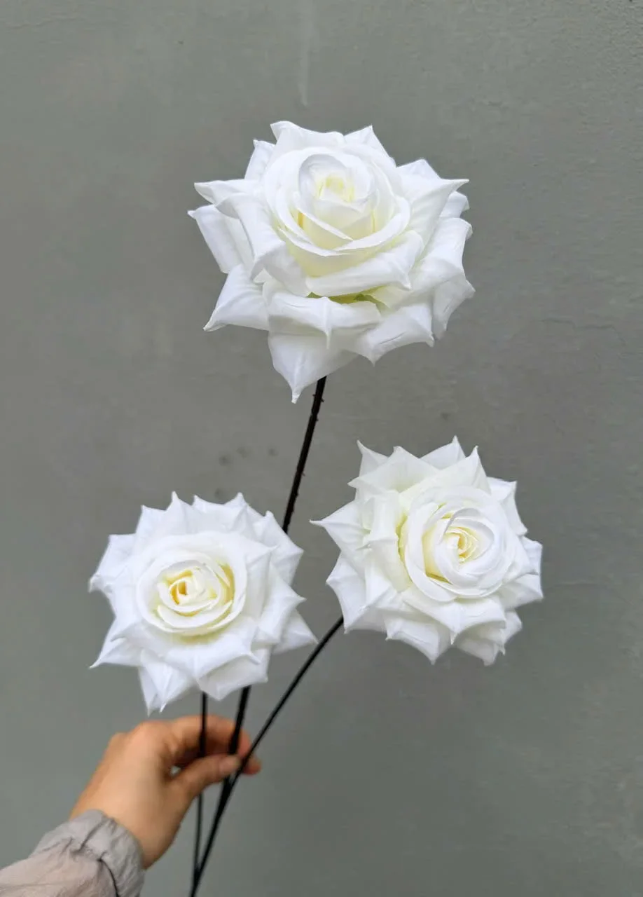 HỒNG GAI 3B HÀNG VN - Ảnh 15