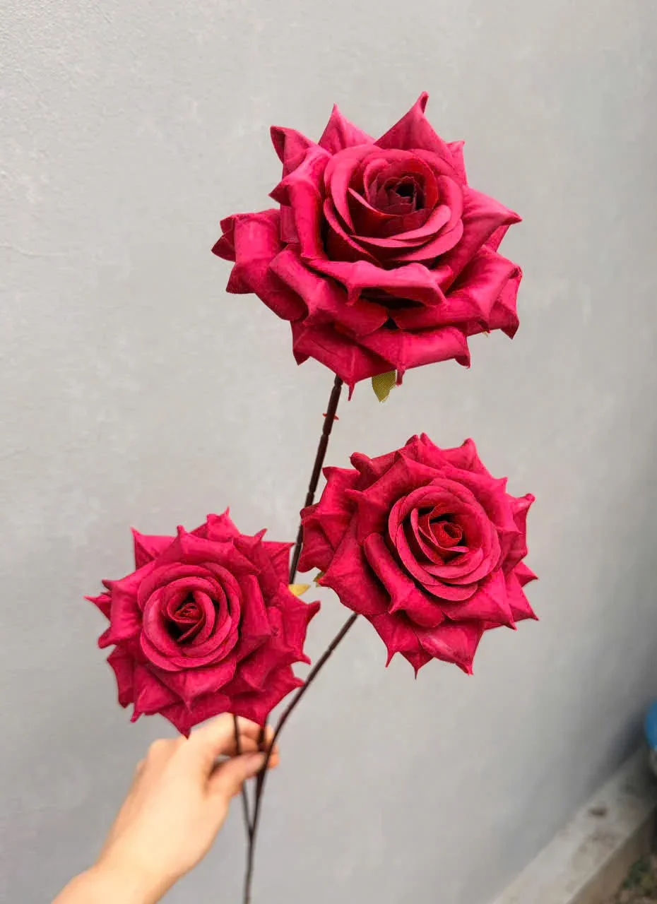 HỒNG GAI 3B HÀNG VN - Ảnh 5
