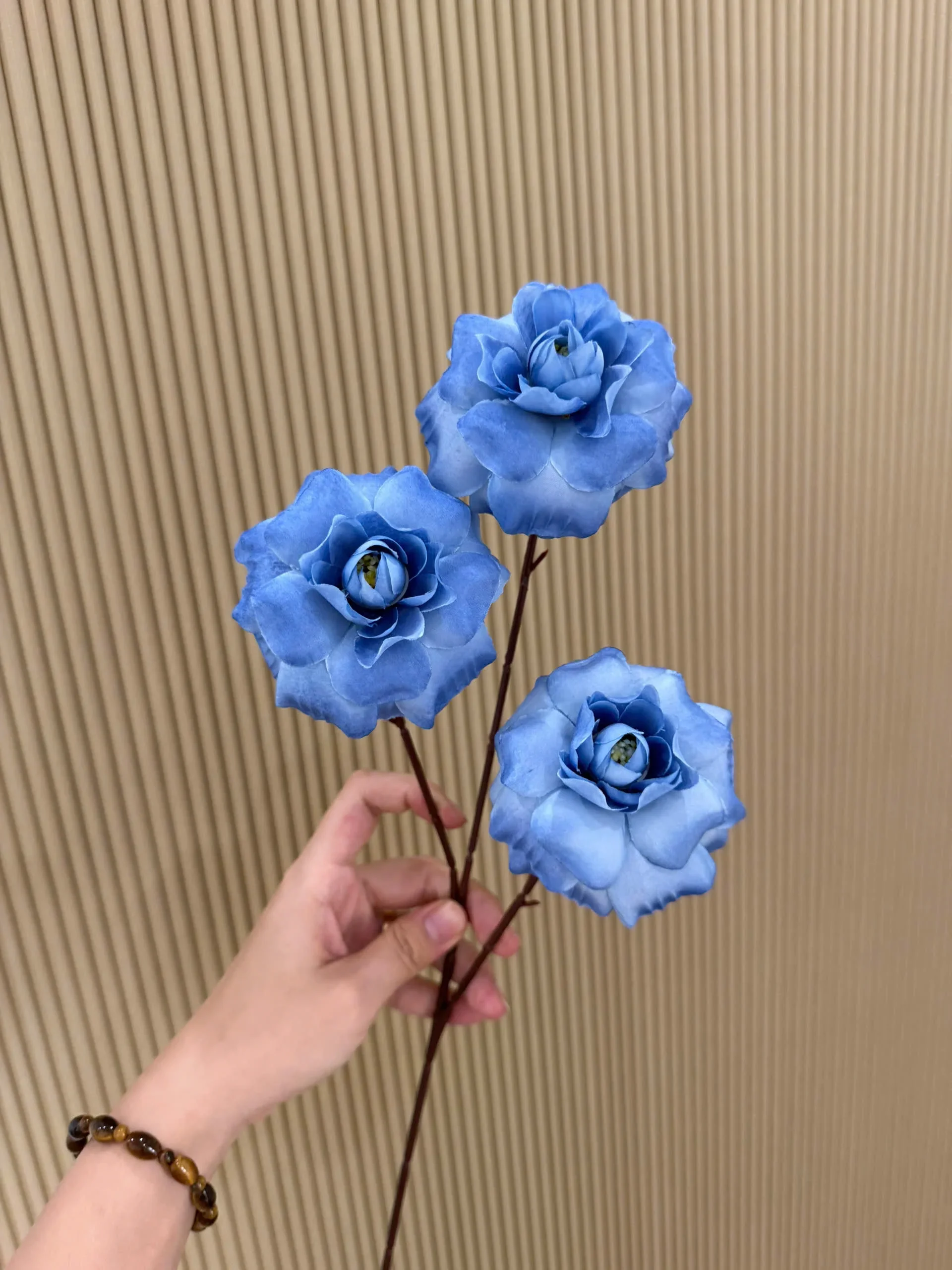 HỒNG HÀ LAN 3 BÔNG VN - Ảnh 3