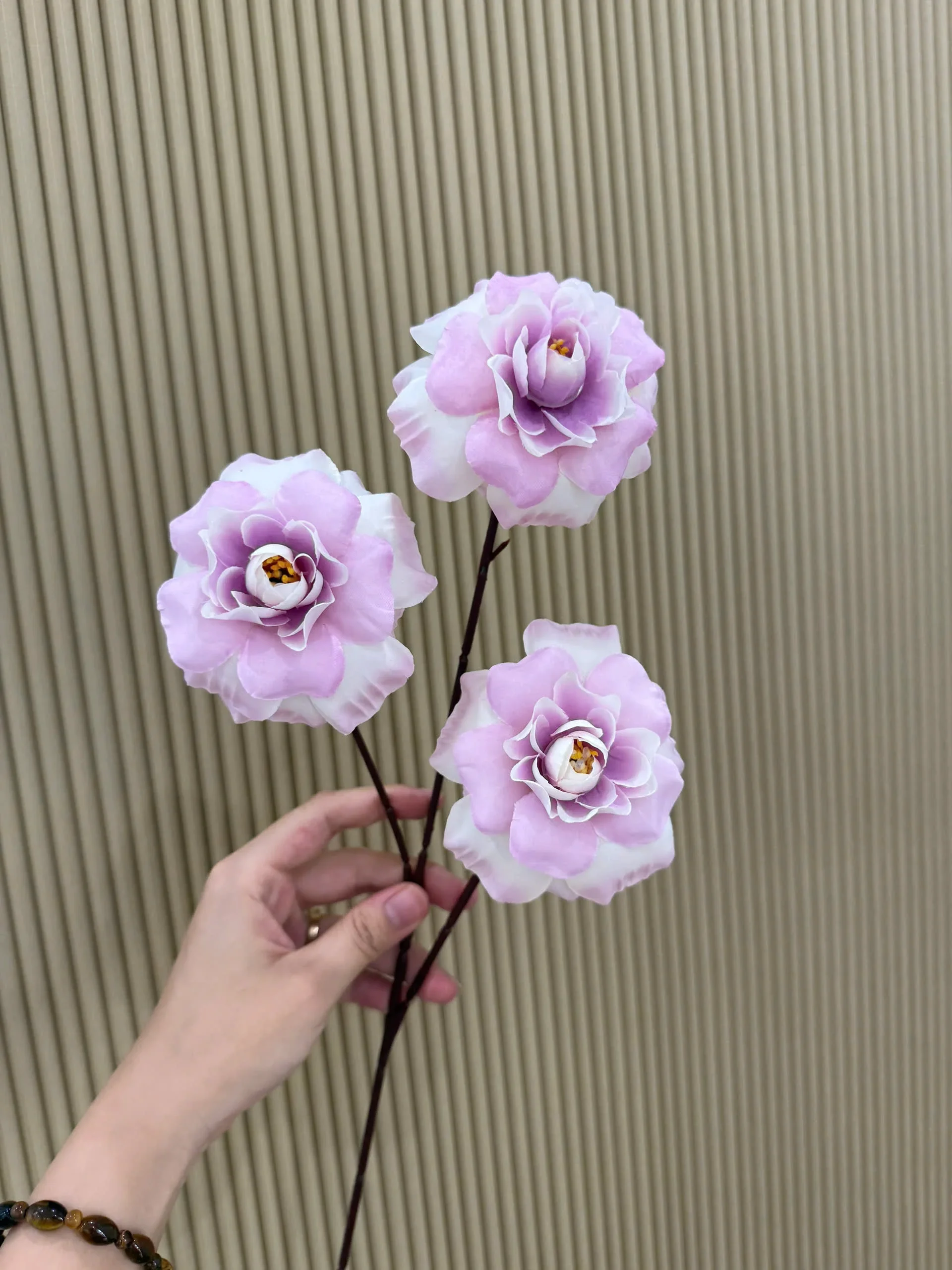 HỒNG HÀ LAN 3 BÔNG VN - Ảnh 19