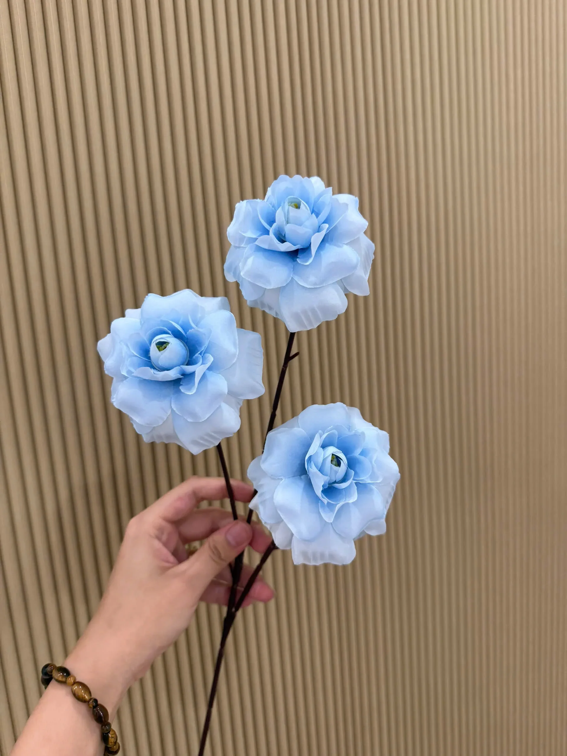 HỒNG HÀ LAN 3 BÔNG VN - Ảnh 16