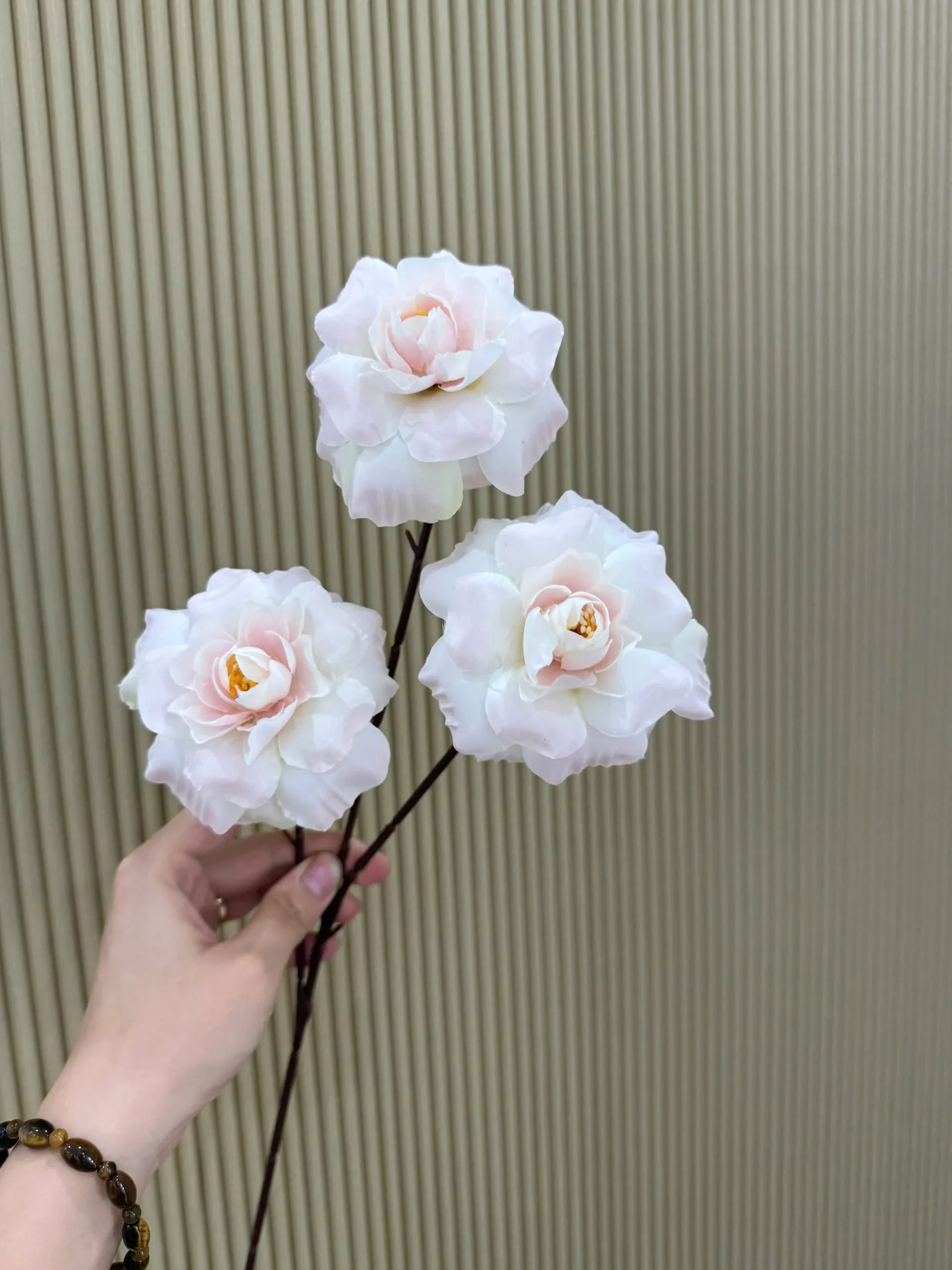 HỒNG HÀ LAN 3 BÔNG VN - Ảnh 7