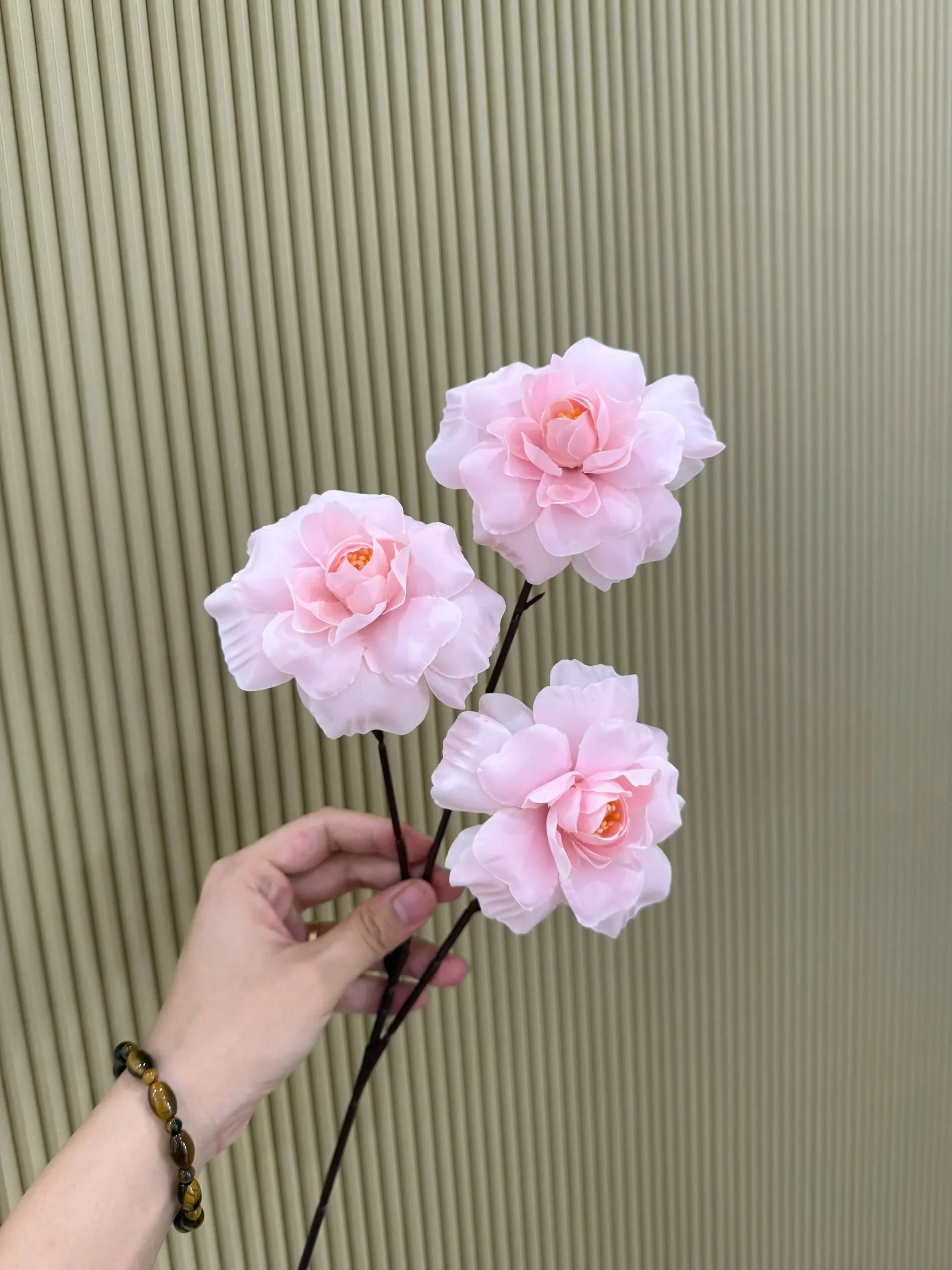 HỒNG HÀ LAN 3 BÔNG VN - Ảnh 11