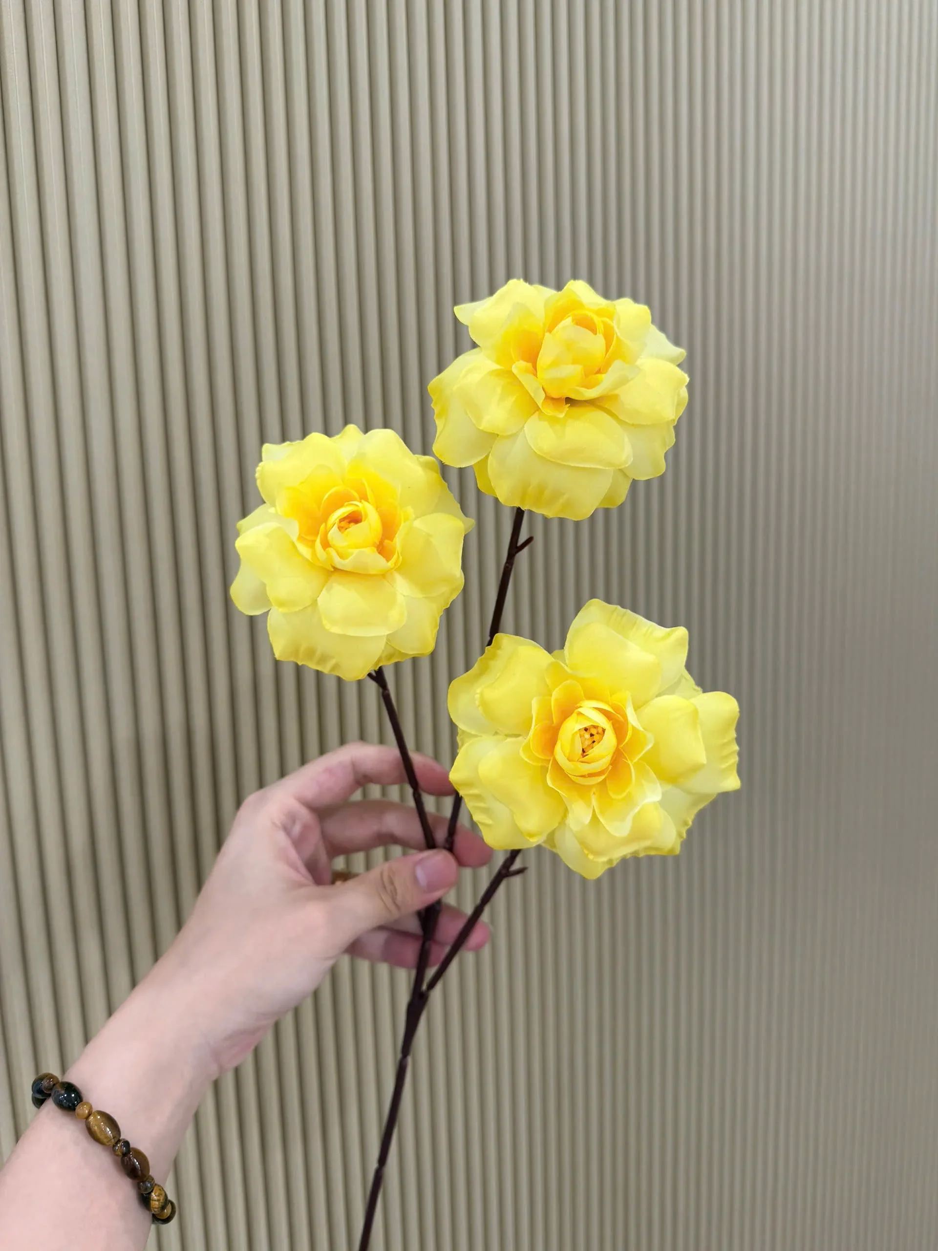 HỒNG HÀ LAN 3 BÔNG VN - Ảnh 14