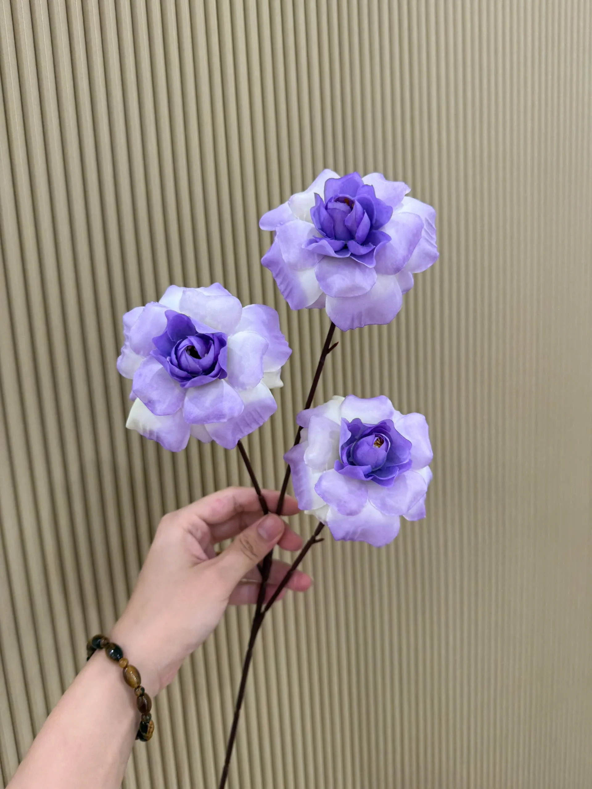HỒNG HÀ LAN 3 BÔNG VN - Ảnh 9