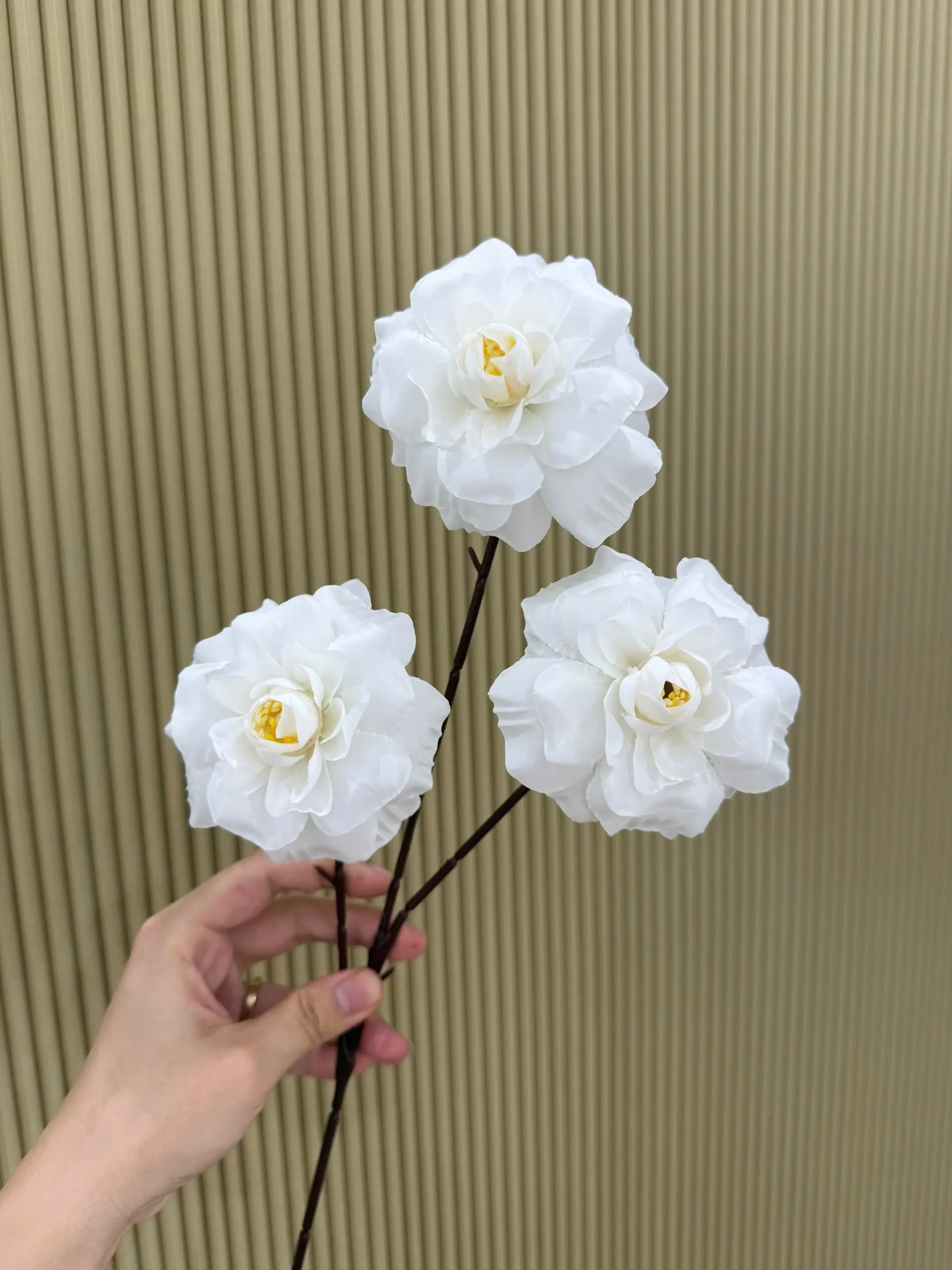 HỒNG HÀ LAN 3 BÔNG VN - Ảnh 15