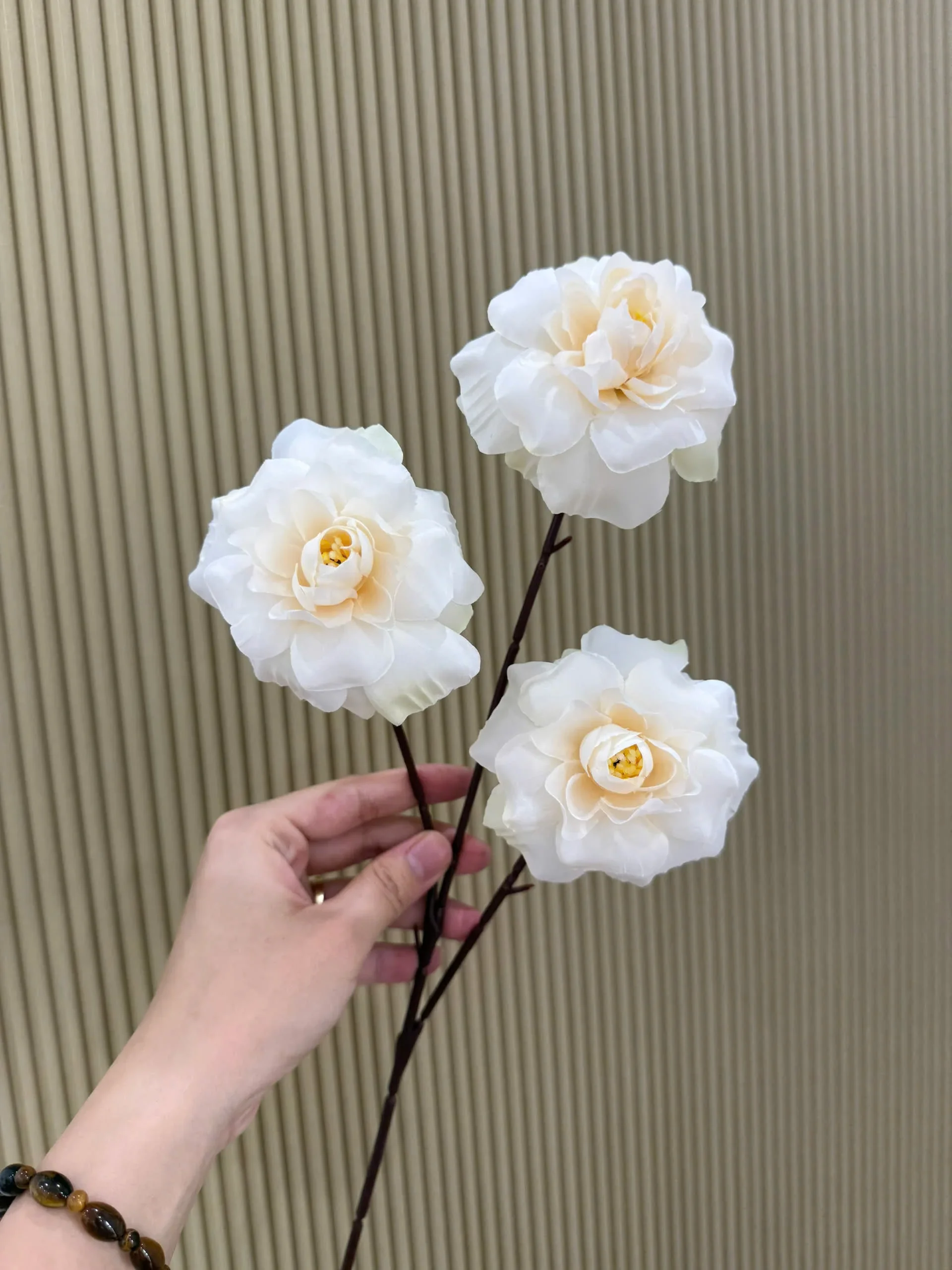 HỒNG HÀ LAN 3 BÔNG VN - Ảnh 12