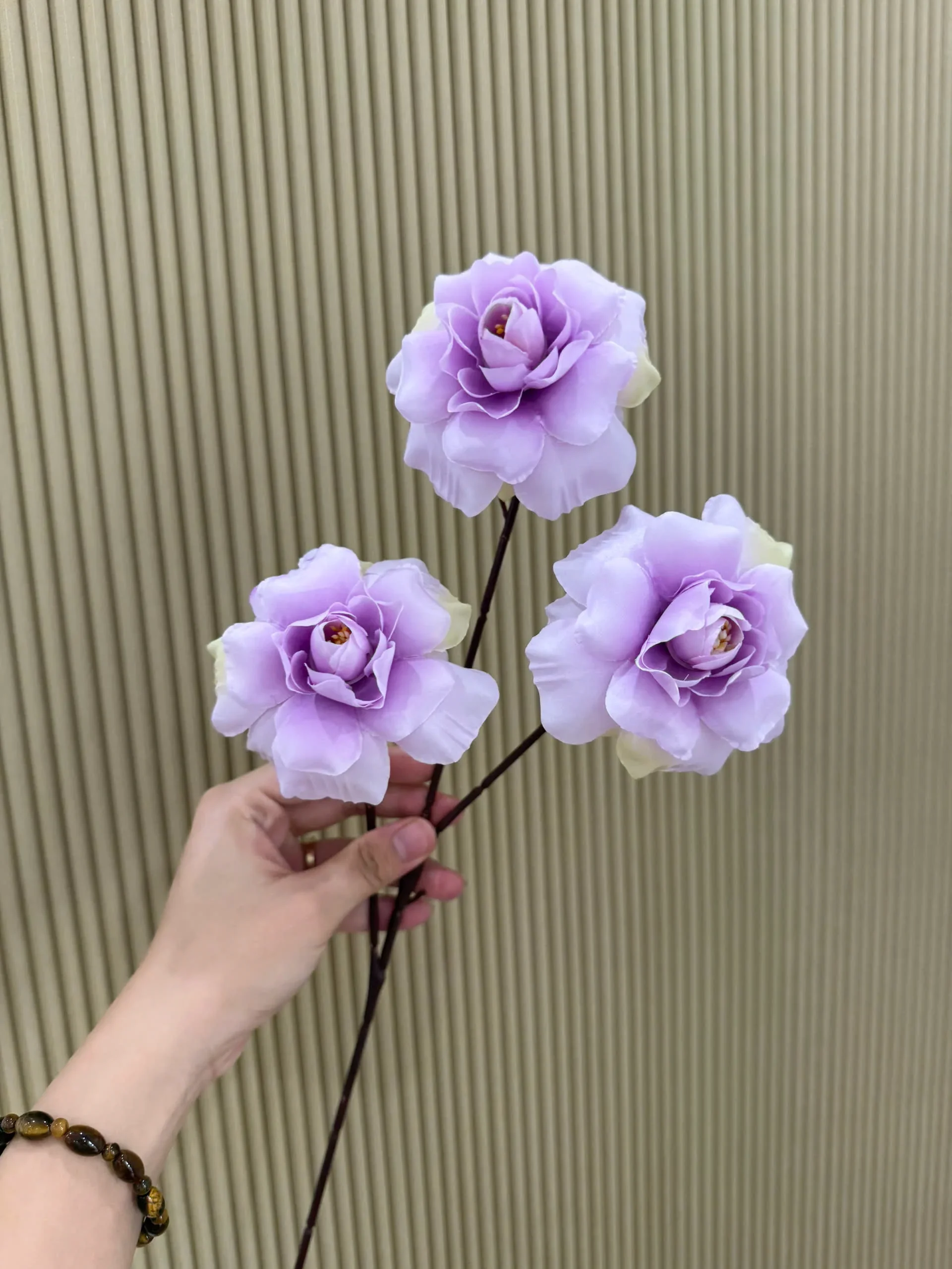 HỒNG HÀ LAN 3 BÔNG VN - Ảnh 17