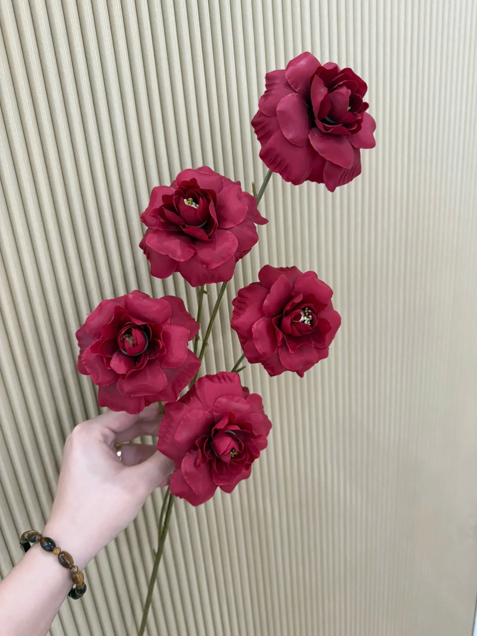 HỒNG HÀ LAN 5 BÔNG VN - Ảnh 2