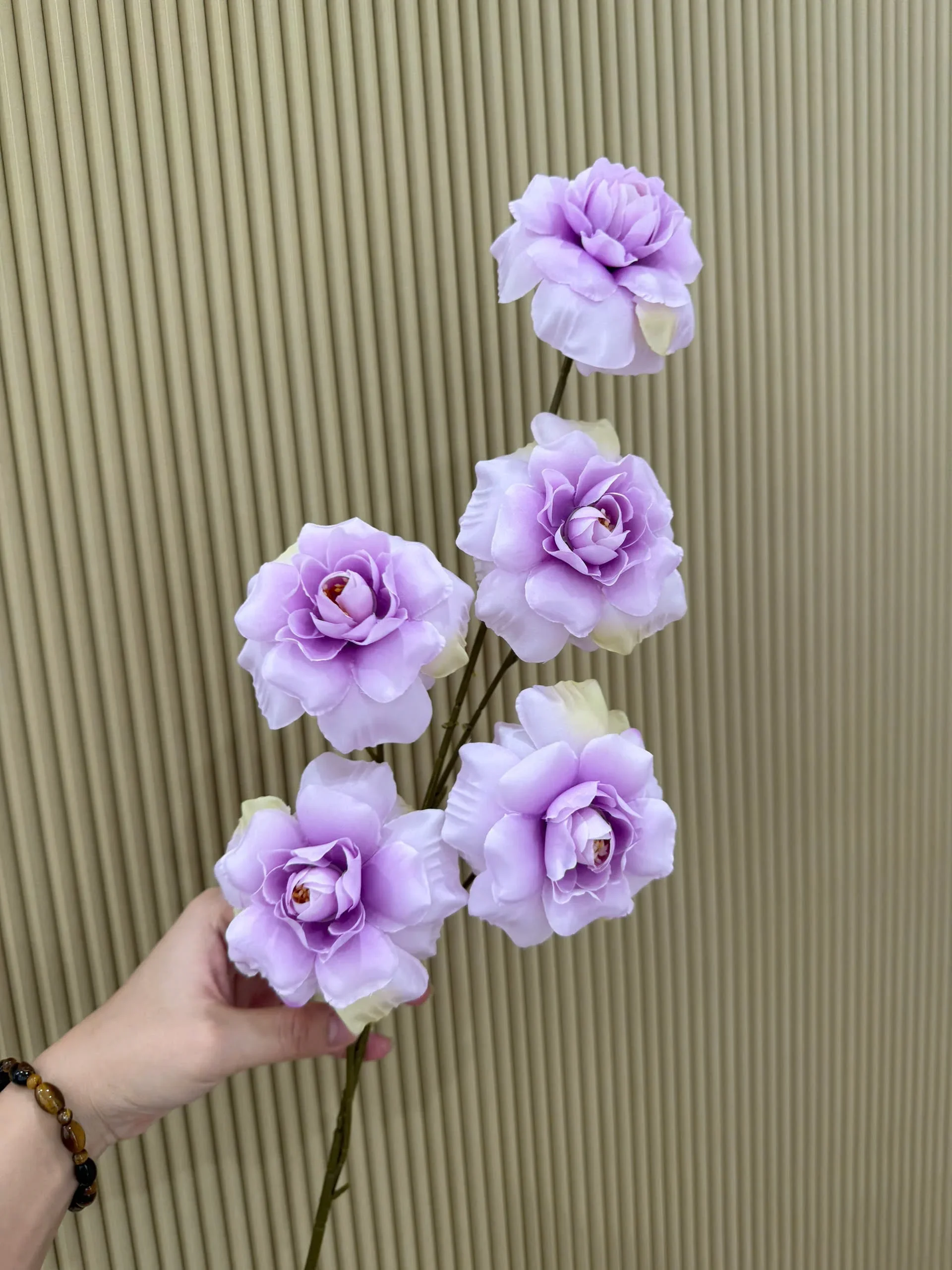 HỒNG HÀ LAN 5 BÔNG VN - Ảnh 9