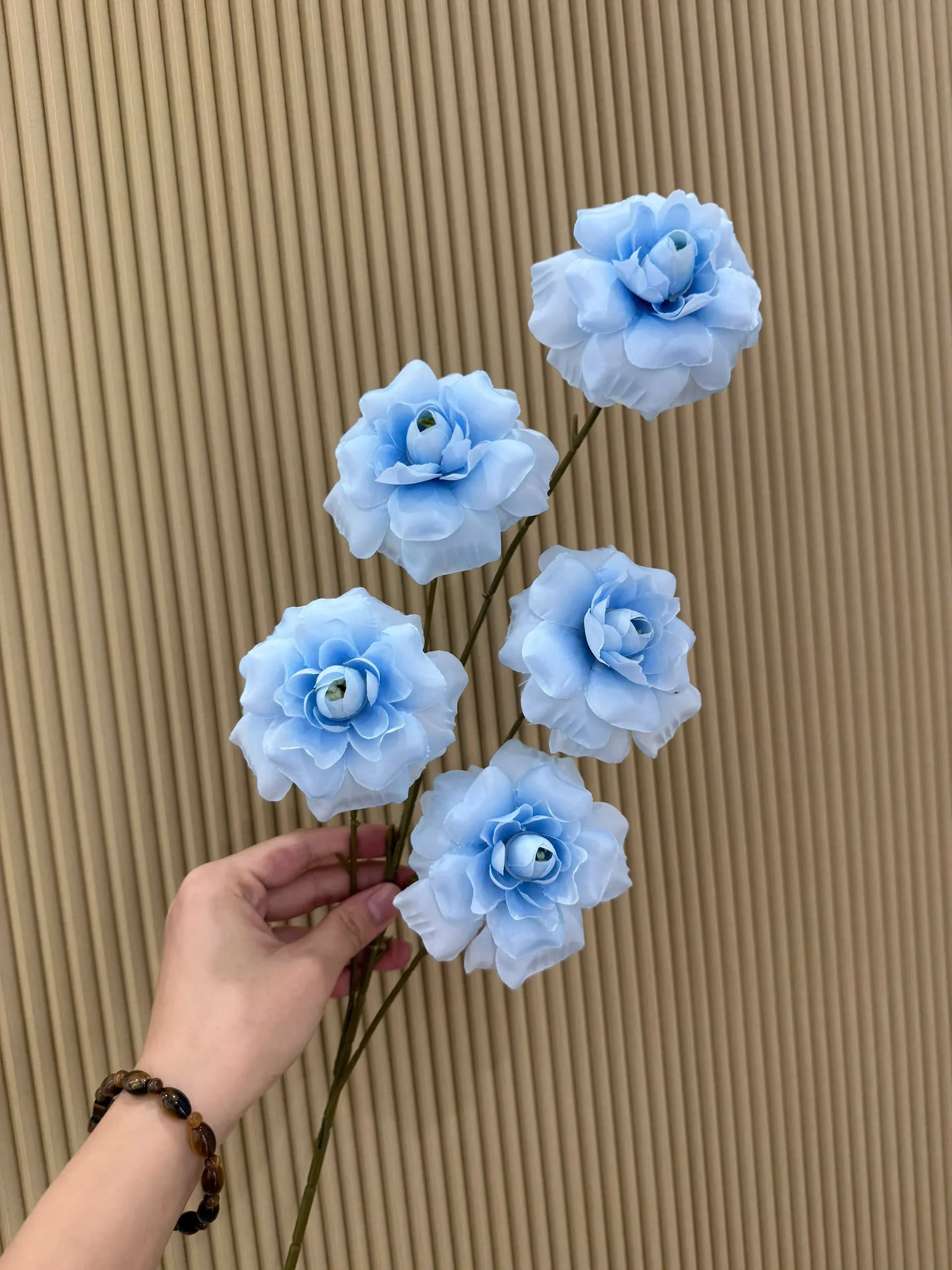 HỒNG HÀ LAN 5 BÔNG VN - Ảnh 8