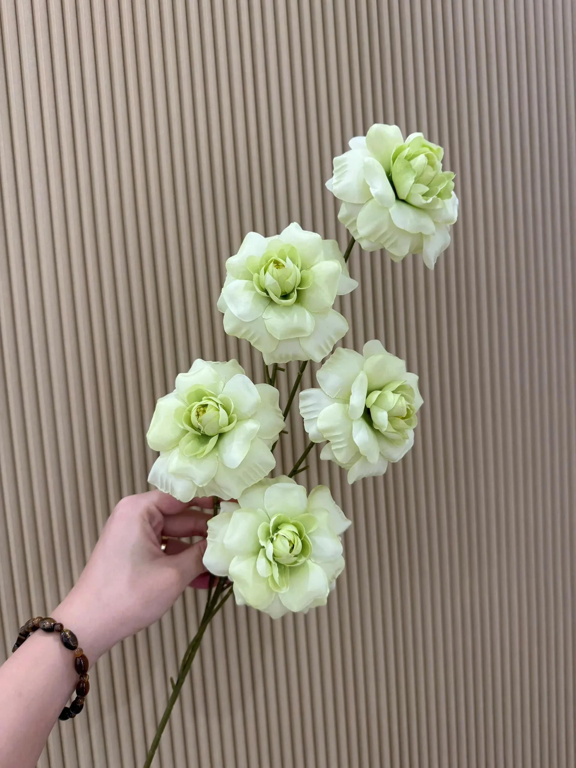 HỒNG HÀ LAN 5 BÔNG VN - Ảnh 5