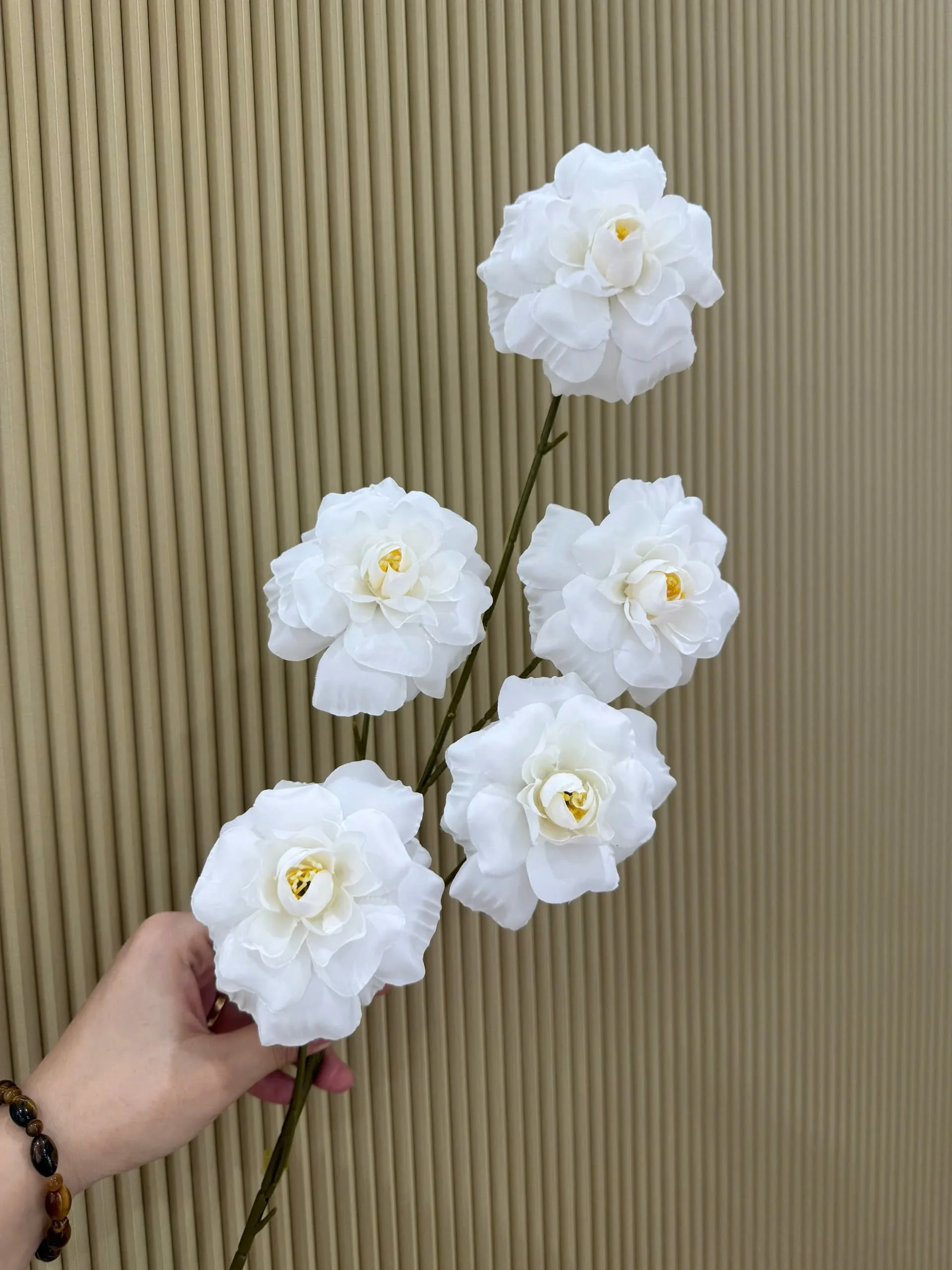 HỒNG HÀ LAN 5 BÔNG VN - Ảnh 16