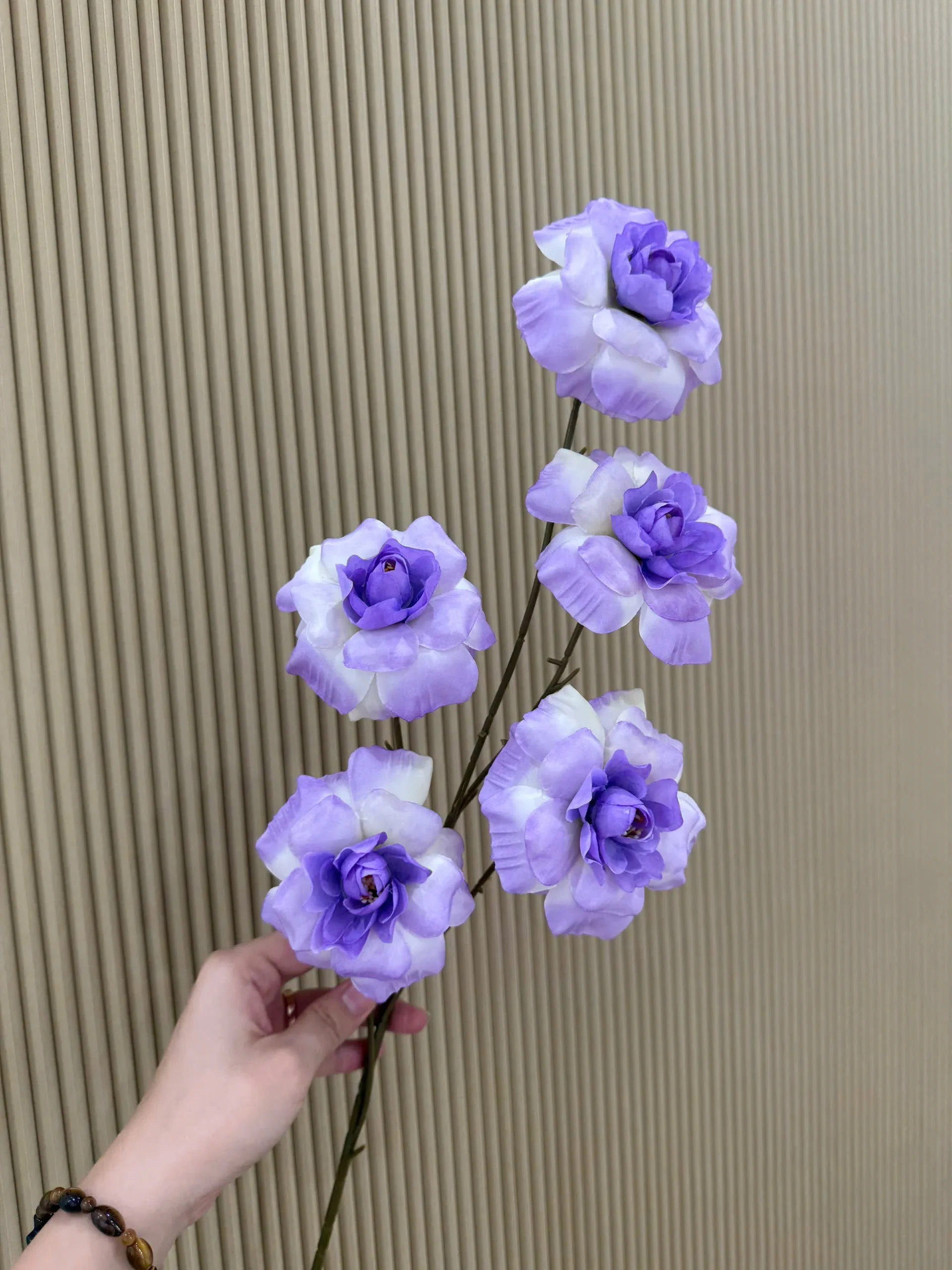 HỒNG HÀ LAN 5 BÔNG VN - Ảnh 10