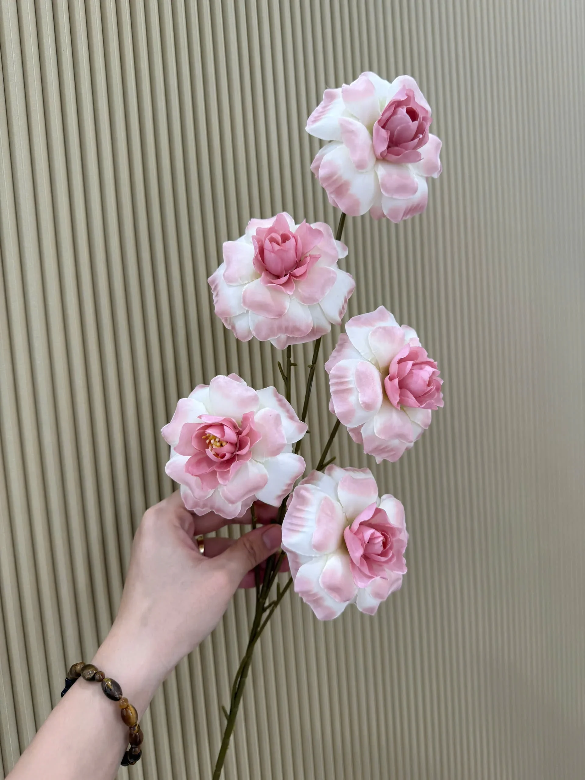 HỒNG HÀ LAN 5 BÔNG VN - Ảnh 3