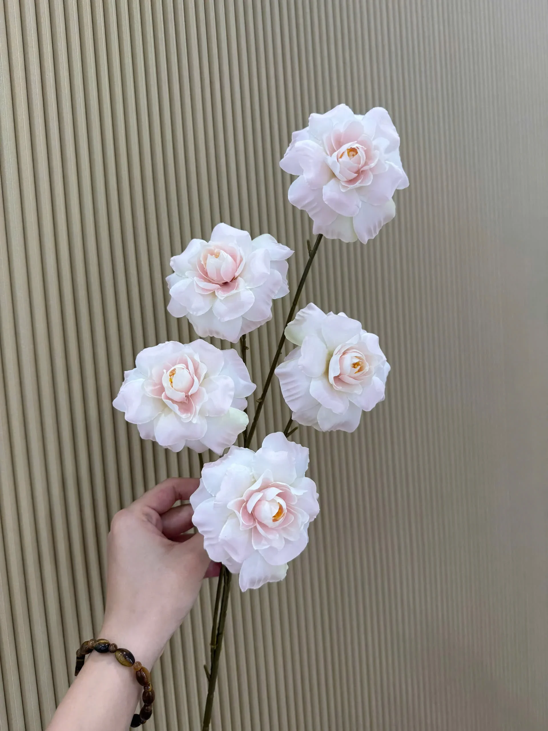 HỒNG HÀ LAN 5 BÔNG VN - Ảnh 15