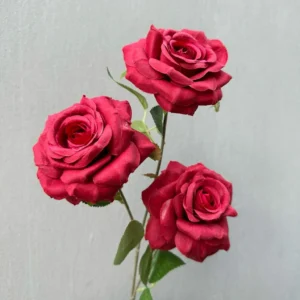 HỒNG KHÔ
