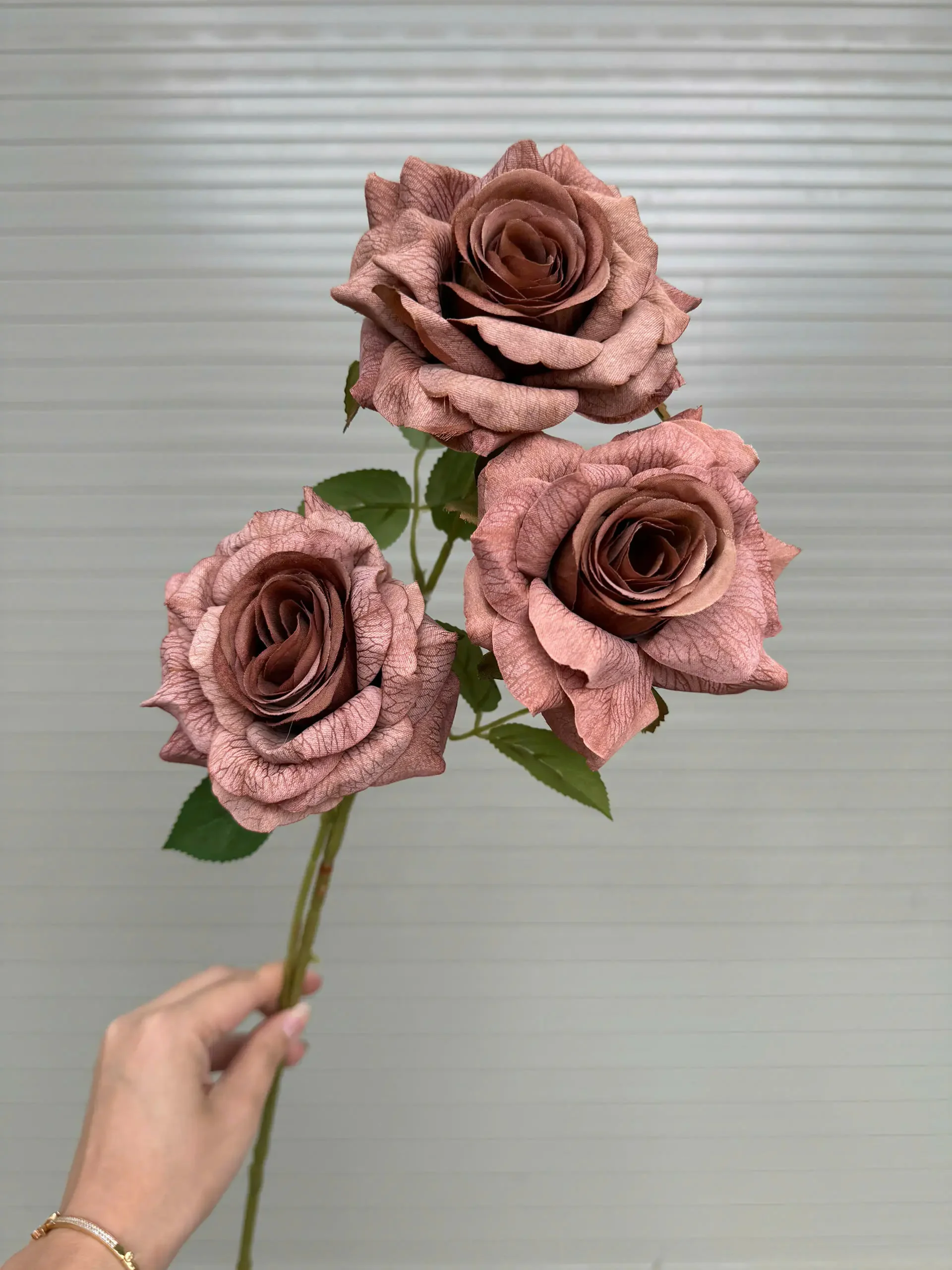 HỒNG MOCHA - Ảnh 6