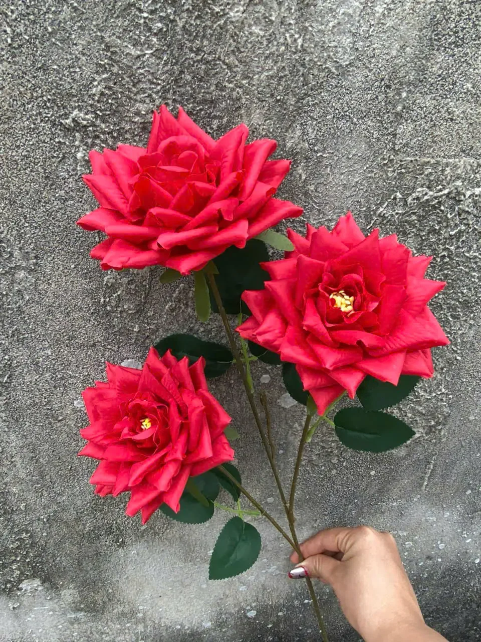 HỒNG RỪNG 3B HÀNG VN - Ảnh 16