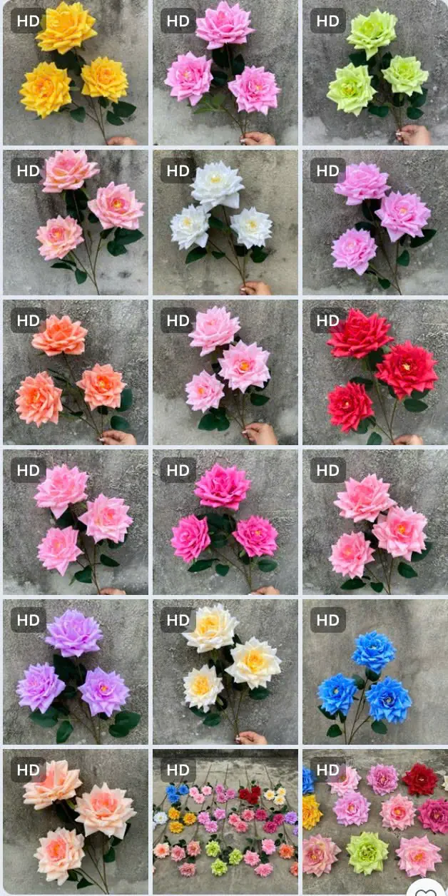 HỒNG RỪNG 3B HÀNG VN - Ảnh 5