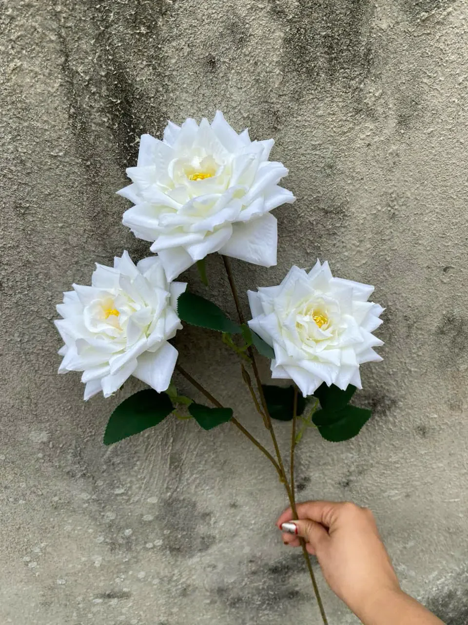 HỒNG RỪNG 3B HÀNG VN - Ảnh 19