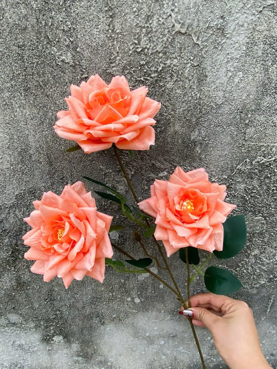 HỒNG RỪNG 3B HÀNG VN - Ảnh 18