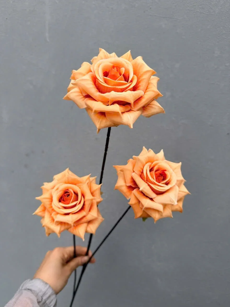 HỒNG RỪNG 3B THÂN TO - Ảnh 4