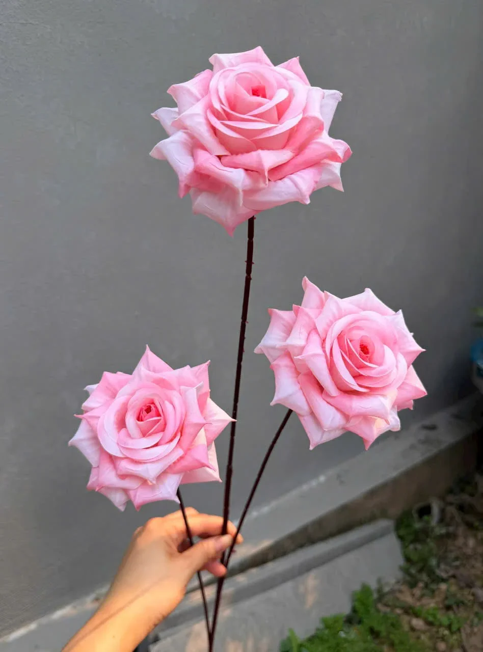 HỒNG RỪNG 3B THÂN TO - Ảnh 11