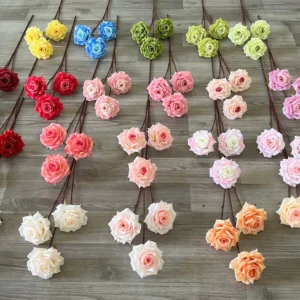 HỒNG TÂN CƯƠNG VN