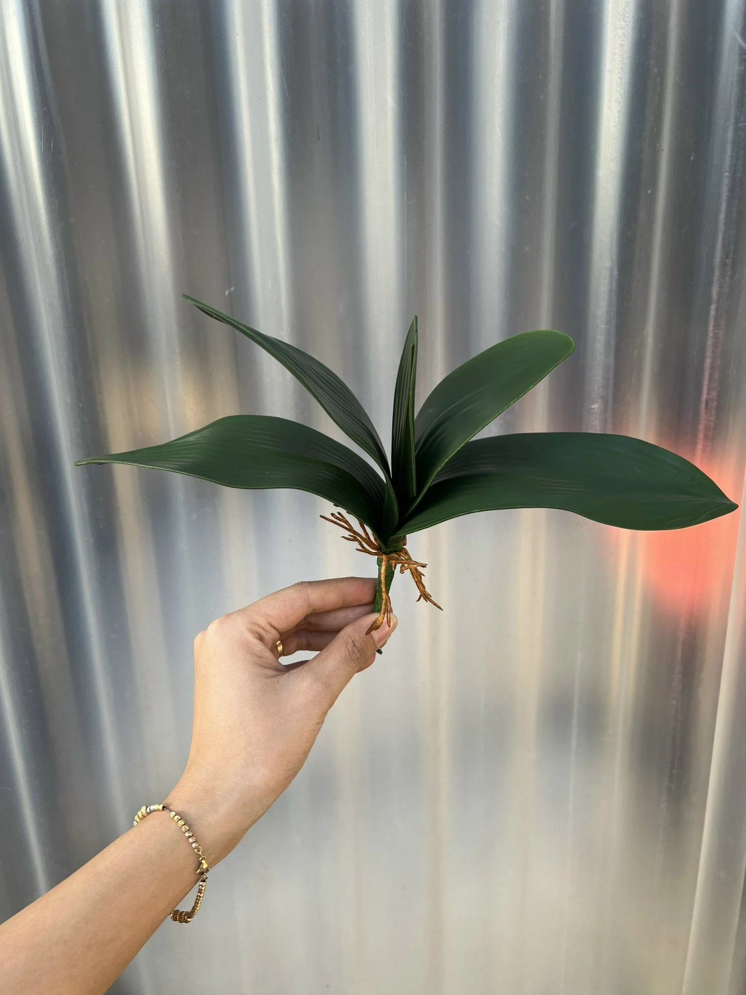 LÁ LAN LOẠI 1 - Ảnh 6