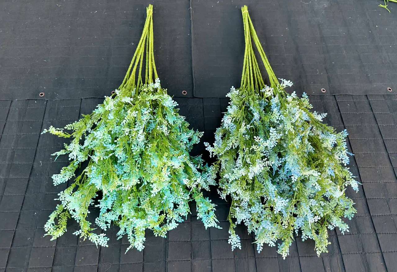 LÁ MỘC HƯƠNG 5 NHÁNH - Ảnh 24