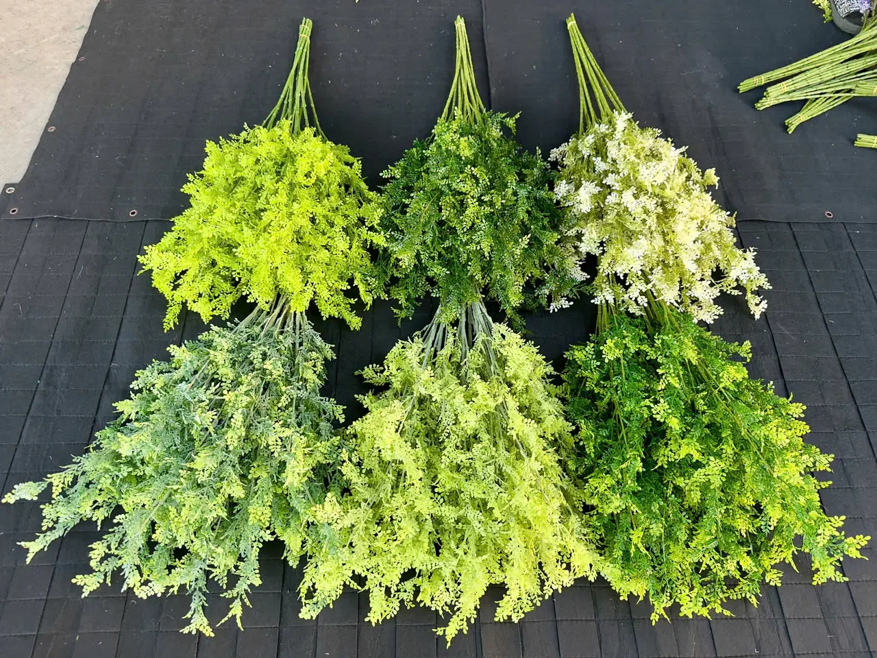 LÁ MỘC HƯƠNG 5 NHÁNH - Ảnh 21