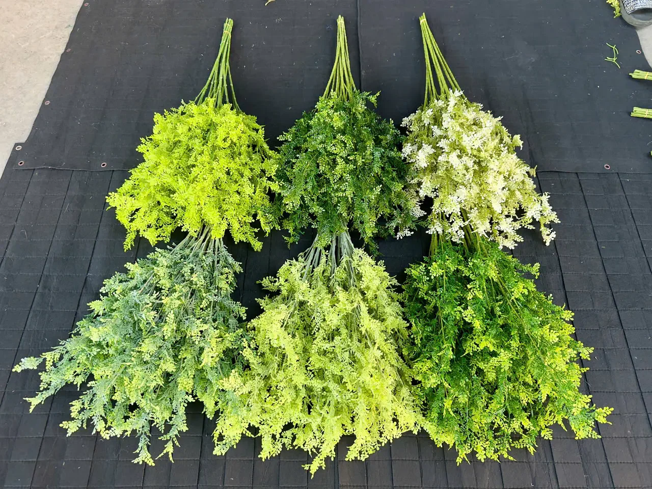 LÁ MỘC HƯƠNG 5 NHÁNH - Ảnh 8