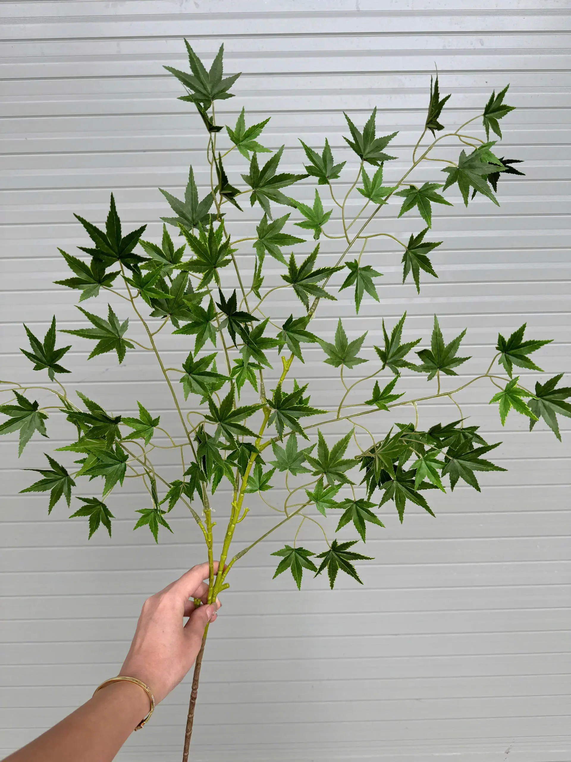 LÁ PHONG HÀN CAO SU - Ảnh 3