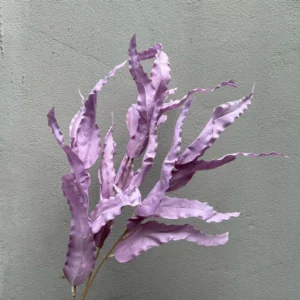 LÁ SỒI LOẠI 1