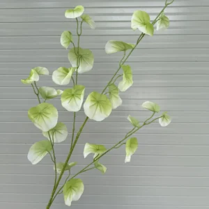 LÁ TÁO TRÒN