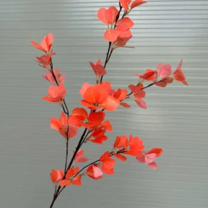 LÁ TRẠNG NGUYÊN