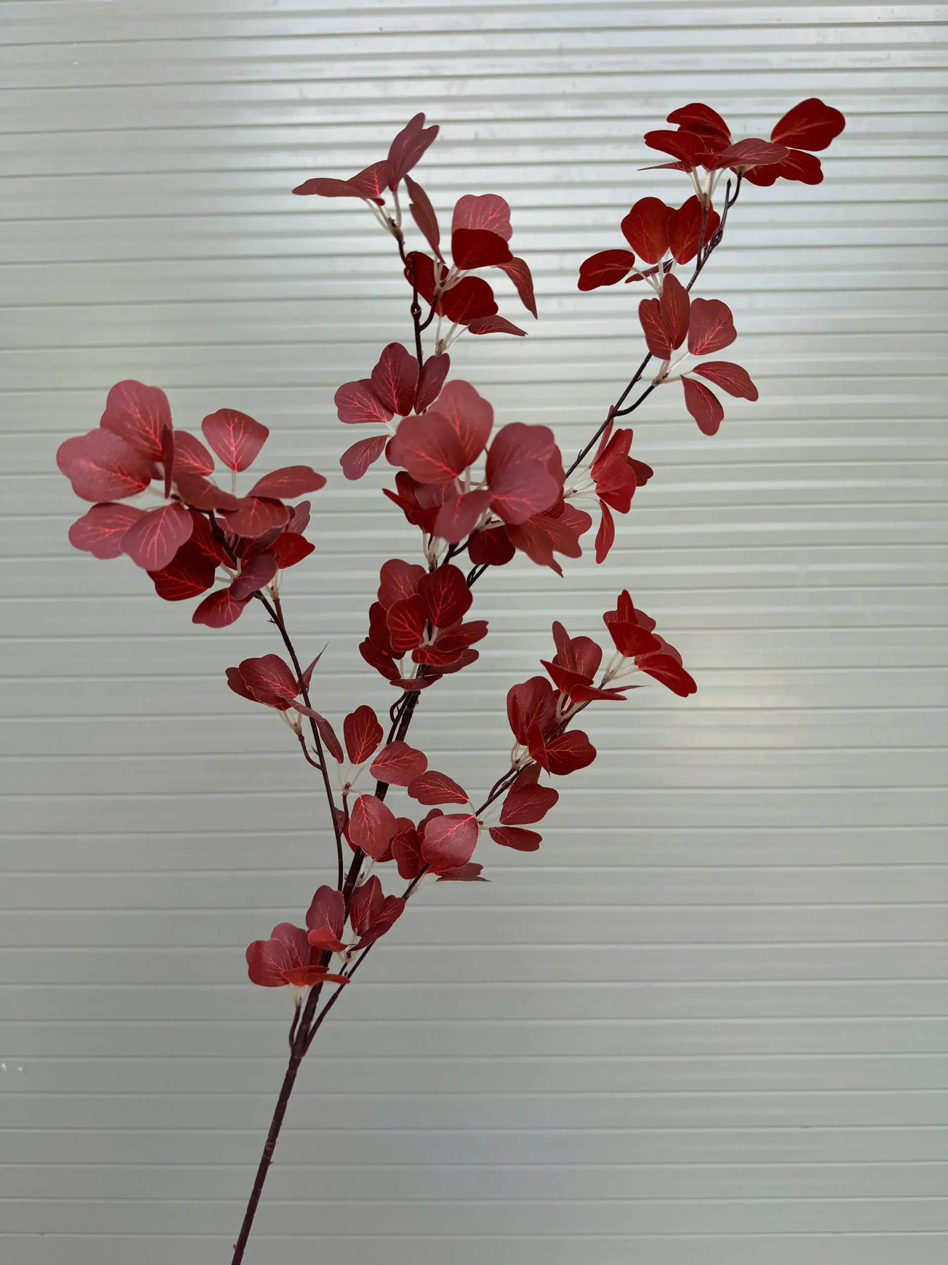 LÁ TRẠNG NGUYÊN - Ảnh 2