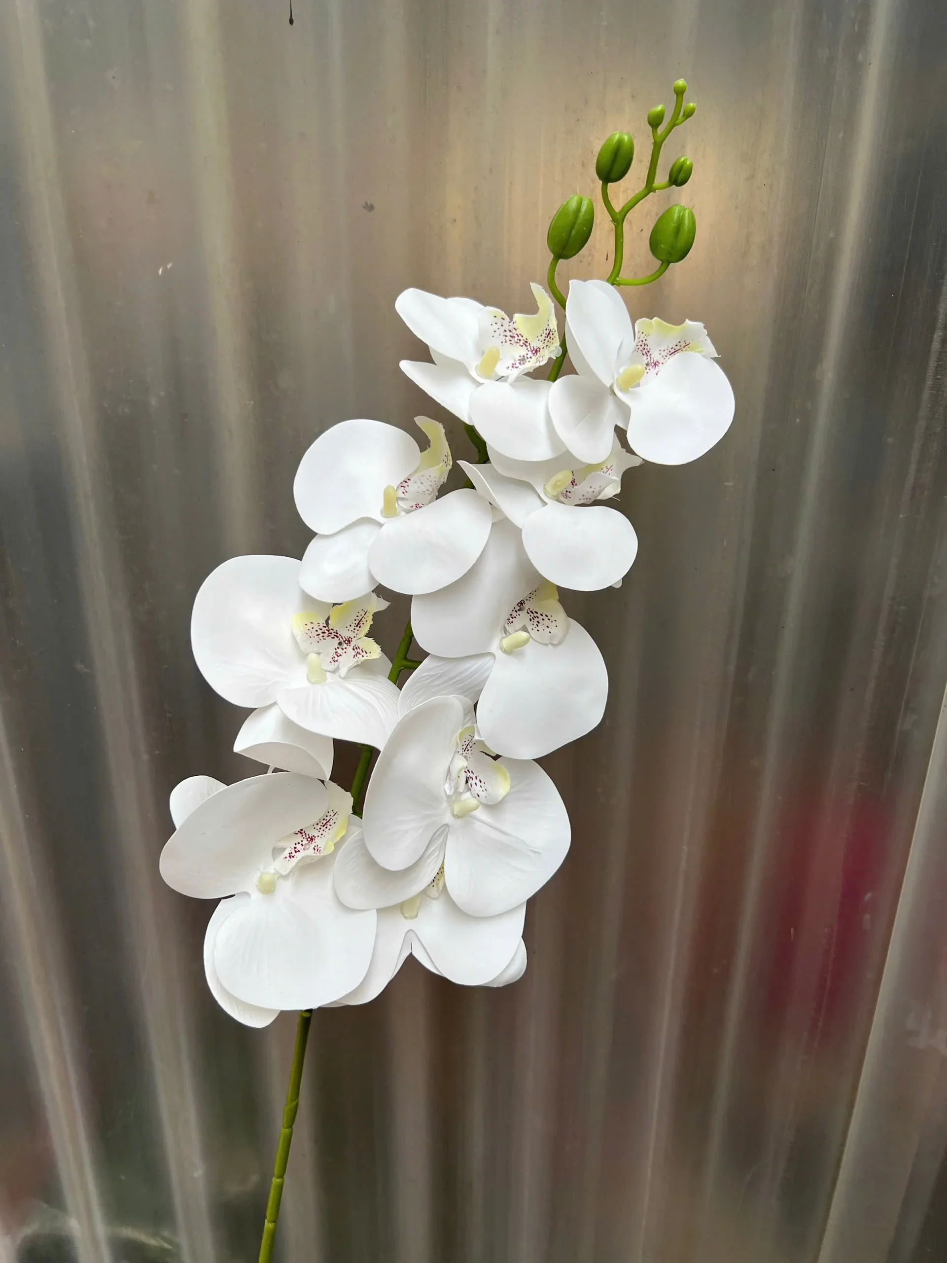 LAN 3D 9 BÔNG - Ảnh 12